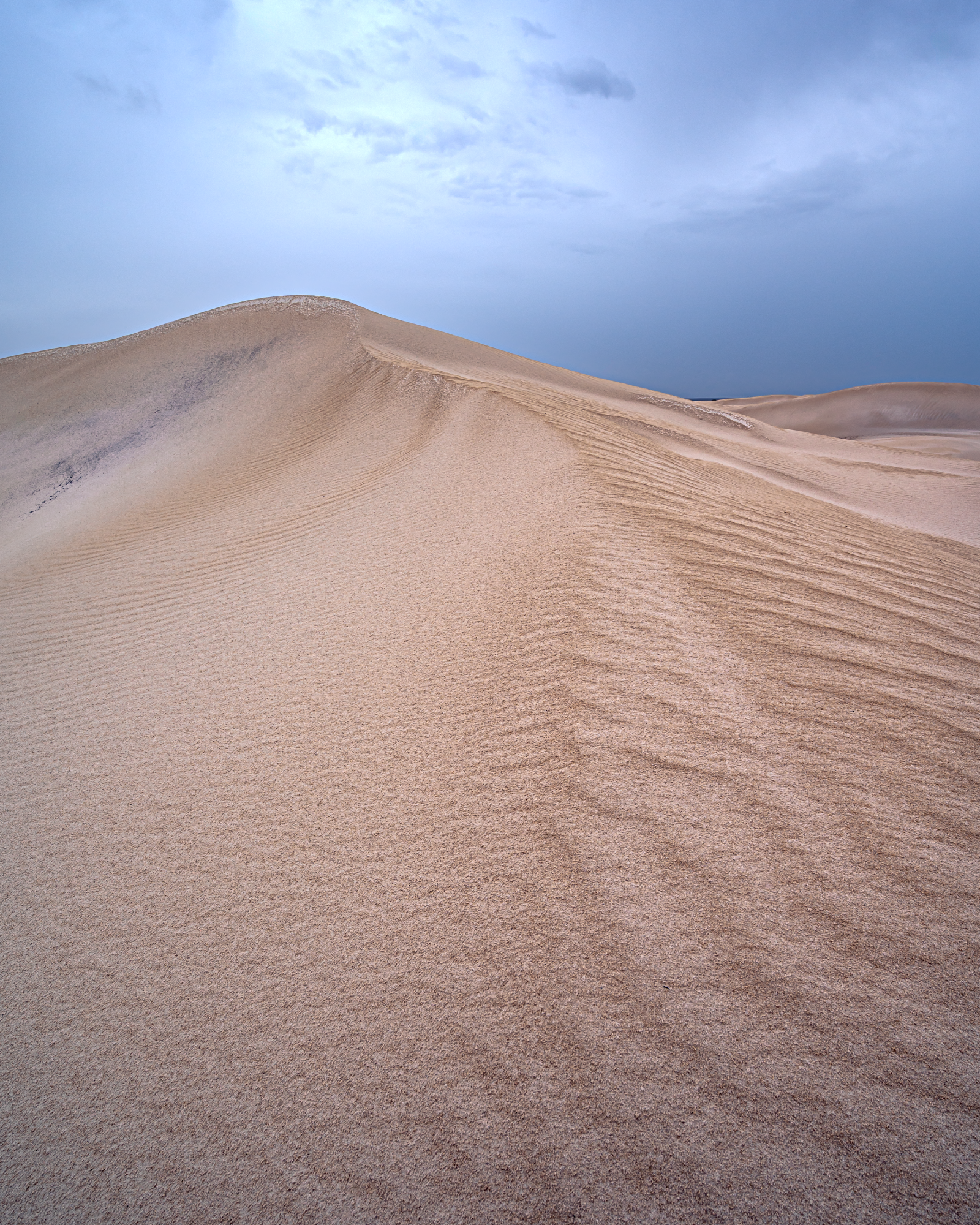 VLW Phototgraphy - Nikon - MoodyDunes.png