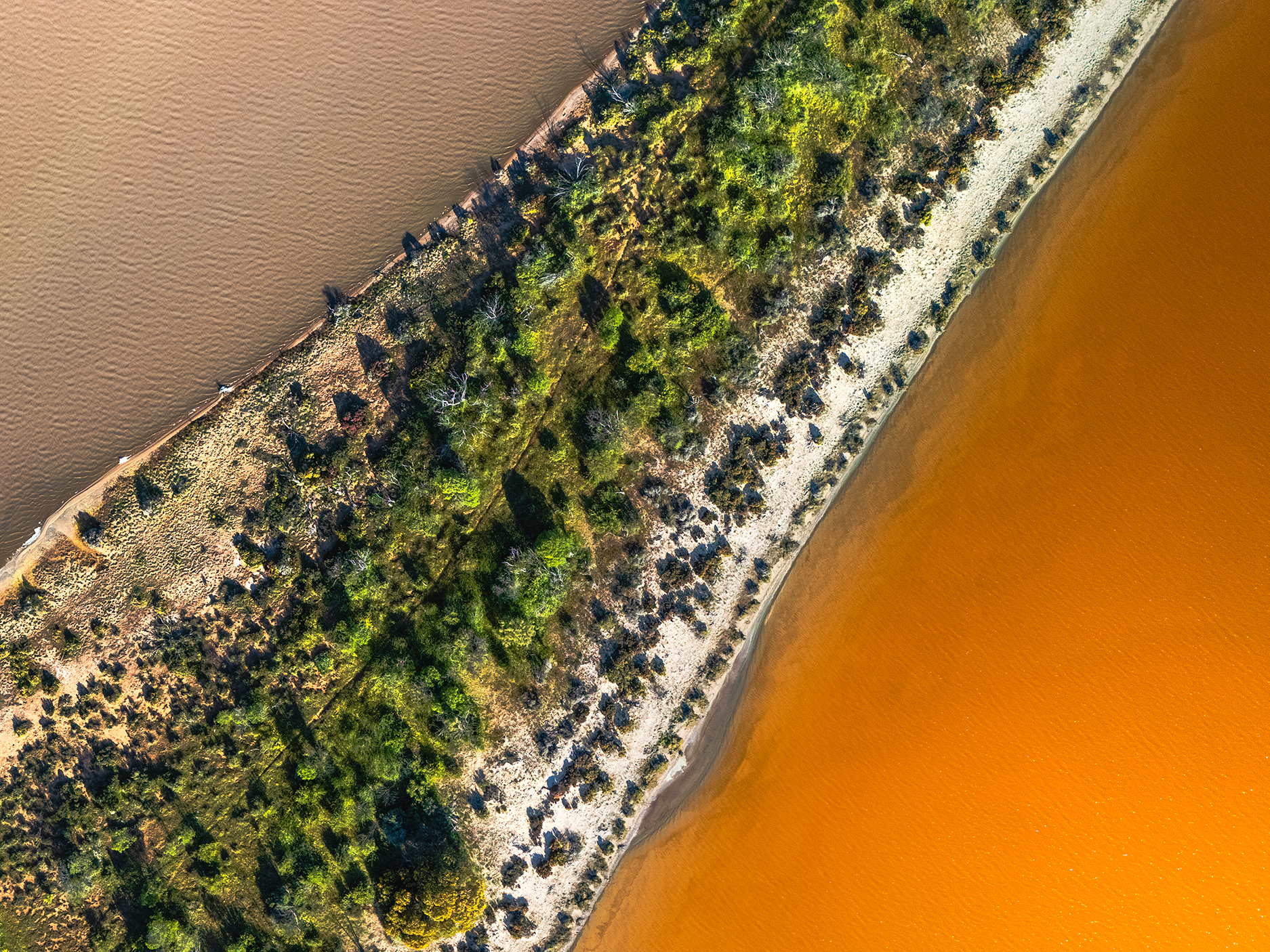 MilkShake is an aerial photograph above a salt lake in the wheatbelt