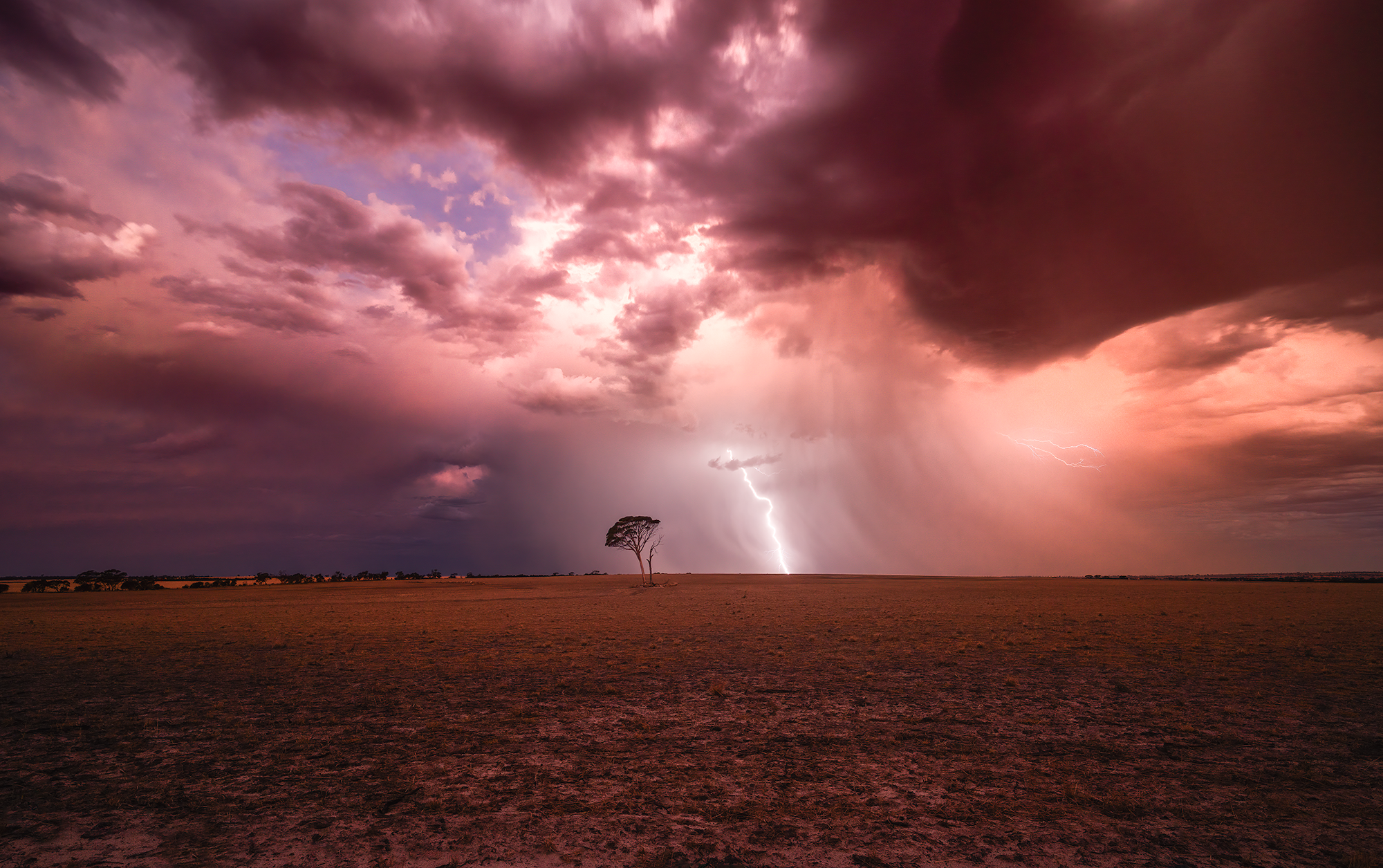 Sunsets, lone trees, big skies and bolts, we drive for hours on end in the Wheatbelt to chase these scenes