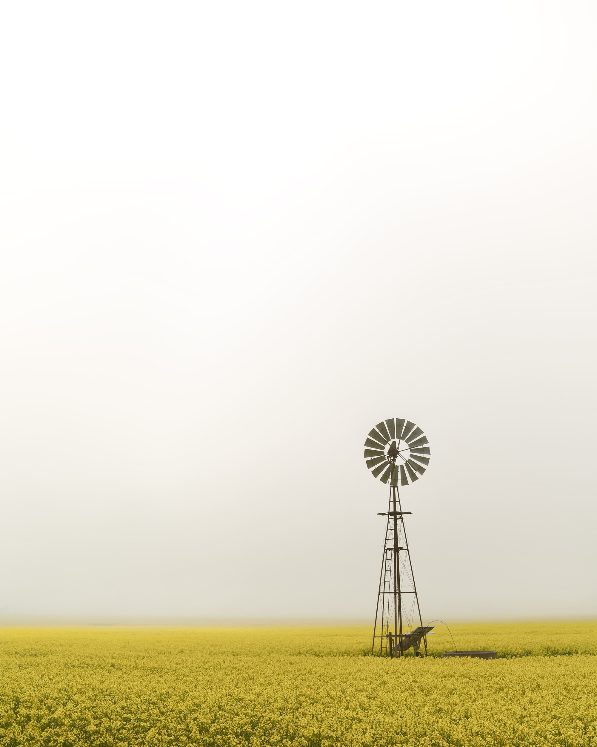 VLW Phototgraphy - Nikon - TheWindmill.jpeg