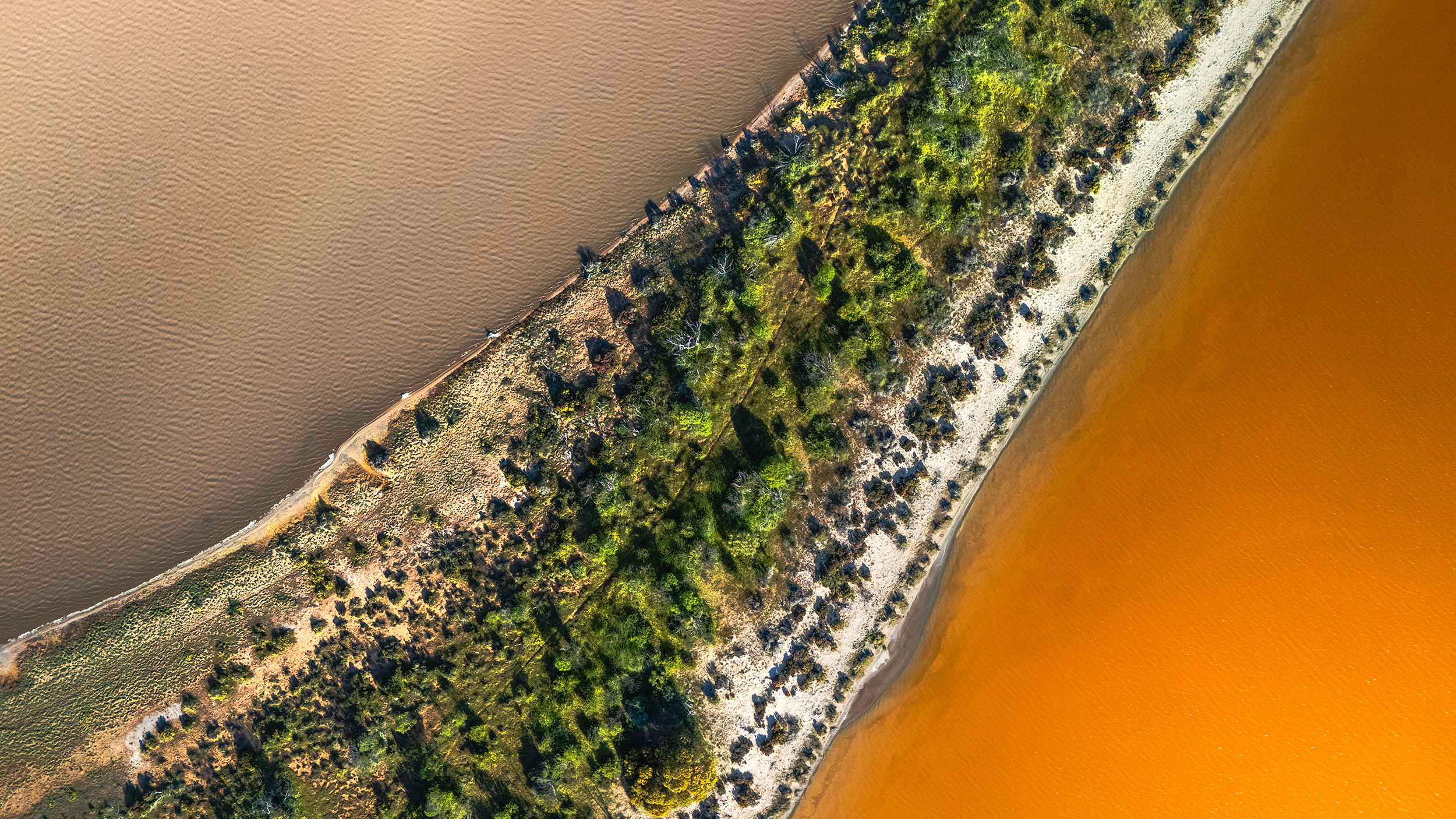 VLW Phototgraphy - DJI - MilkShake.png