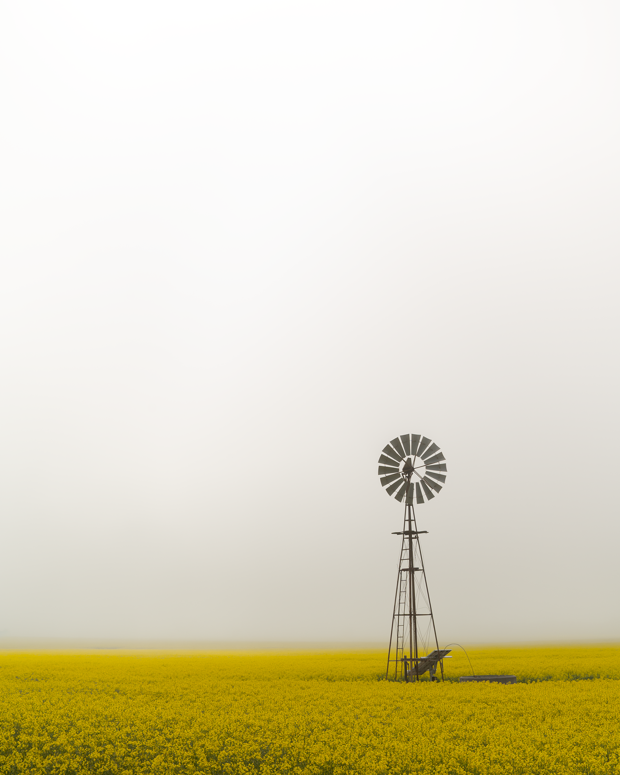 VLW Phototgraphy - Nikon - BrightenUp.png