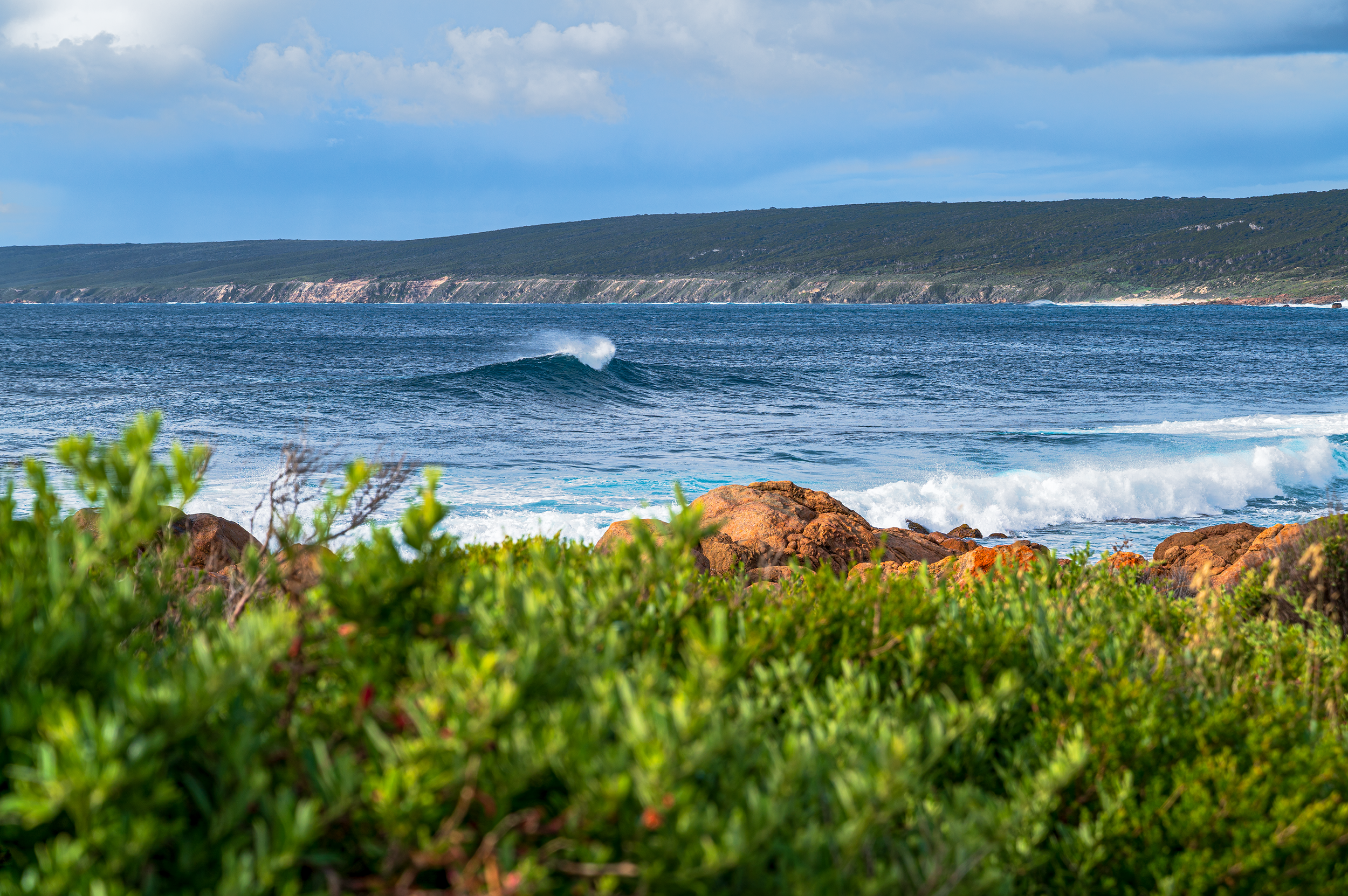 VLW Photography - Nikon - TheWave 2025.png