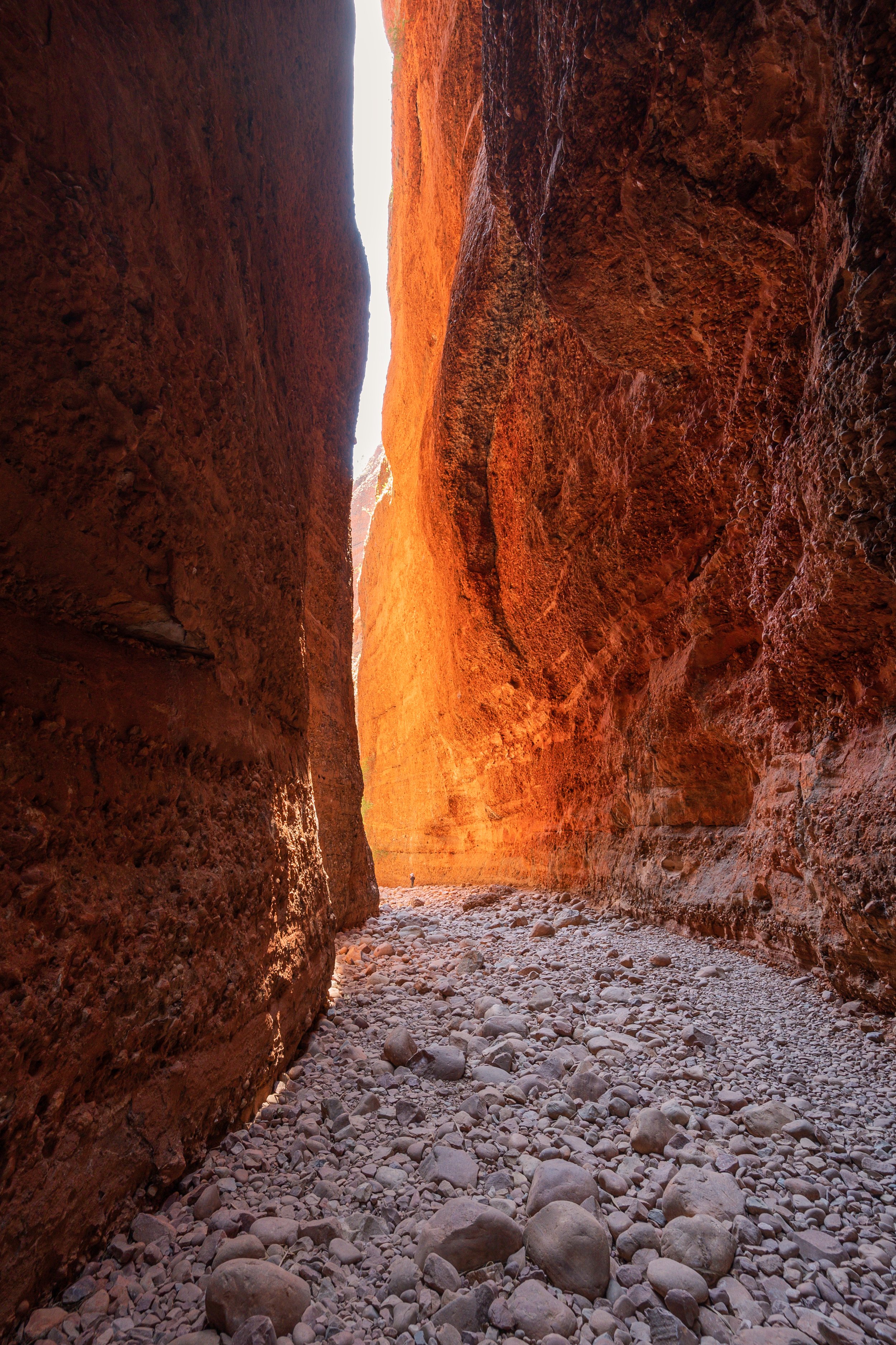 Echidna Gorge in the East Kimberley, a simply stunning place in Western Australia, you might spot the toddler walking by
