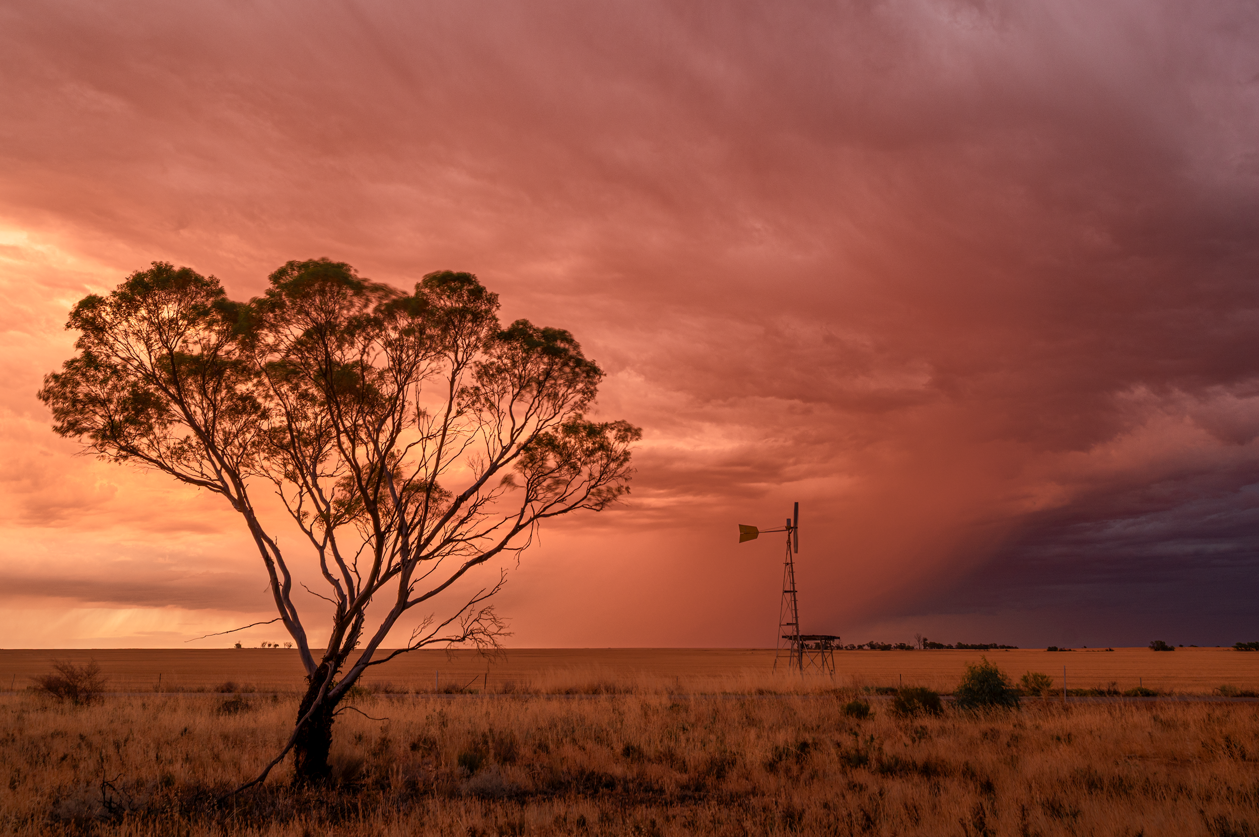 VLW Photography - Nikon - BigSkies.png