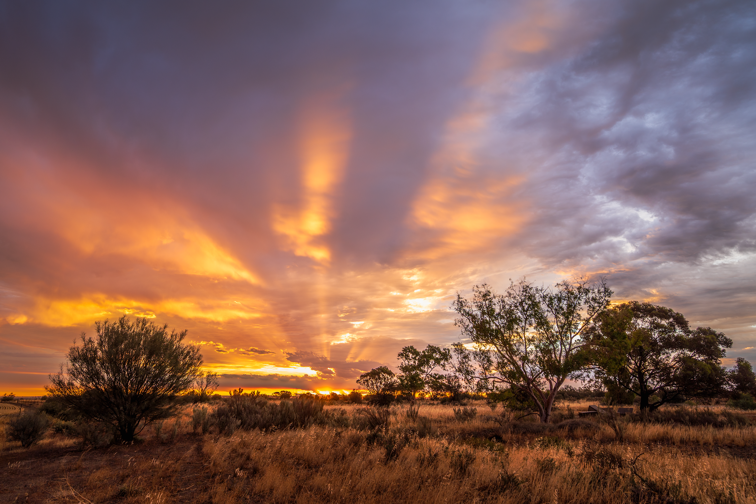 VLW Photography - Nikon - DecemberForteen.png