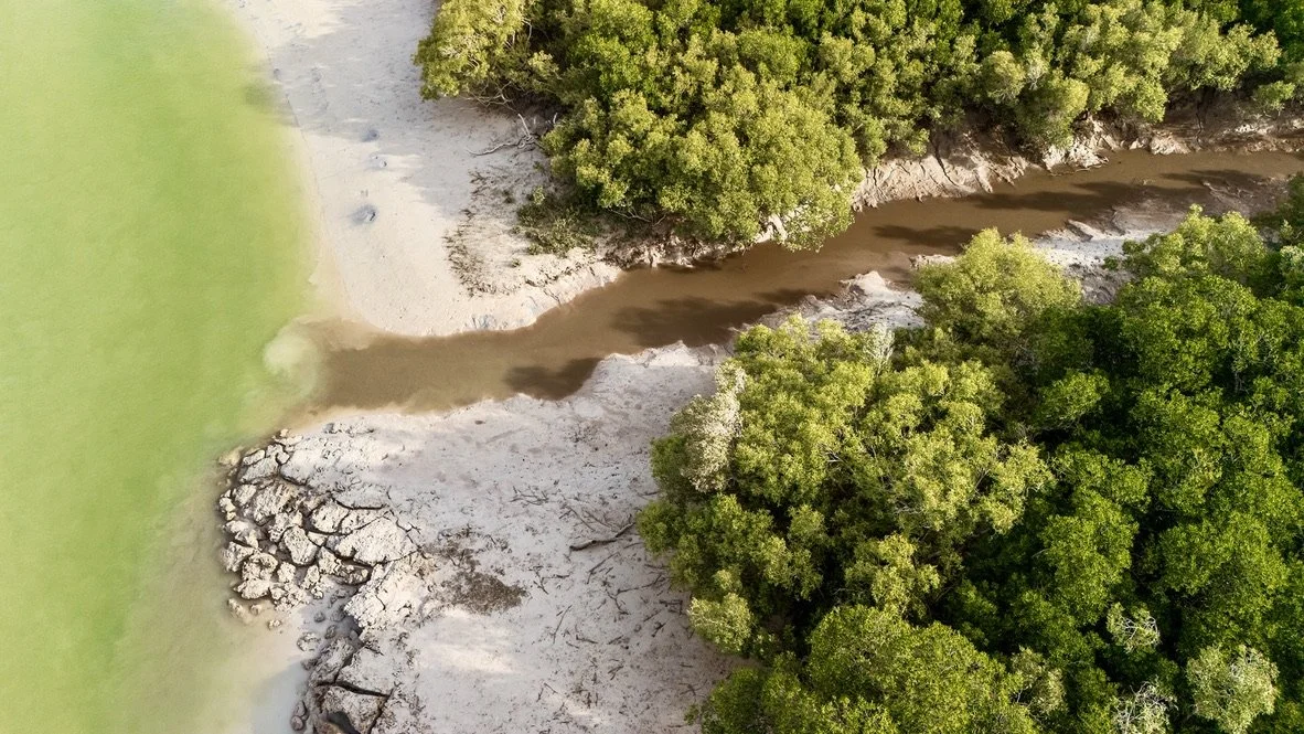 BROWN CREEK an aerial photo over looking lush green mangroves just near Broome