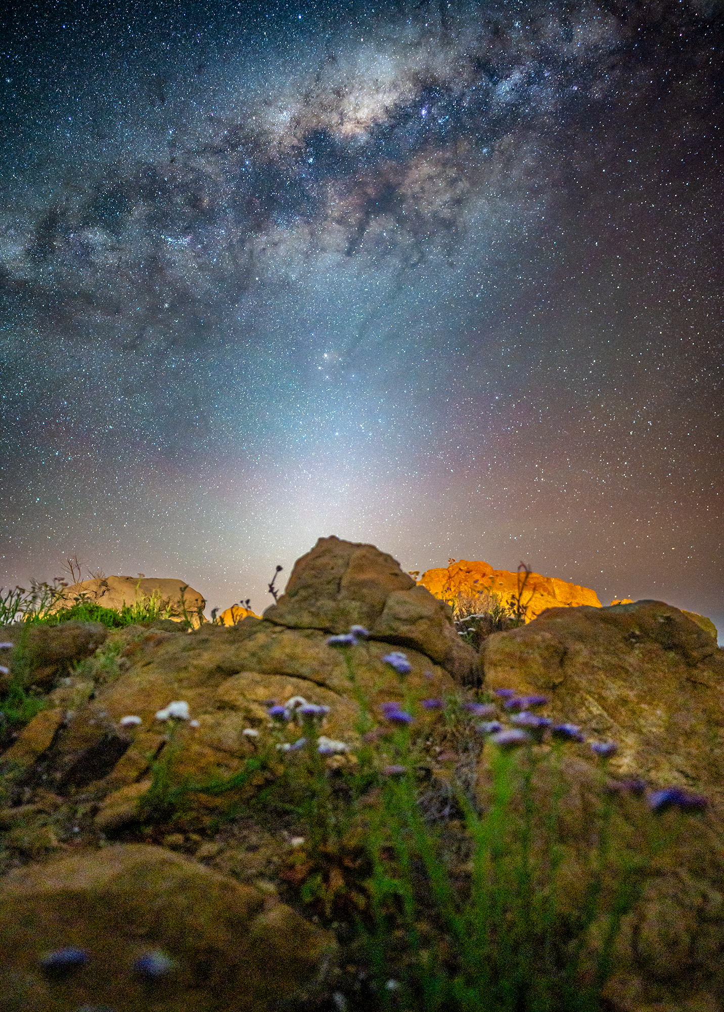 VLW Phototgraphy - Nikon - WildflowerSeason.png