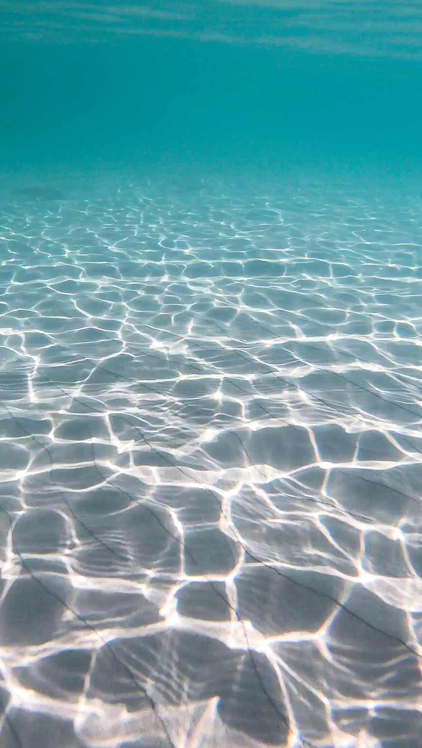 VLW Photography UnderWater Land .png