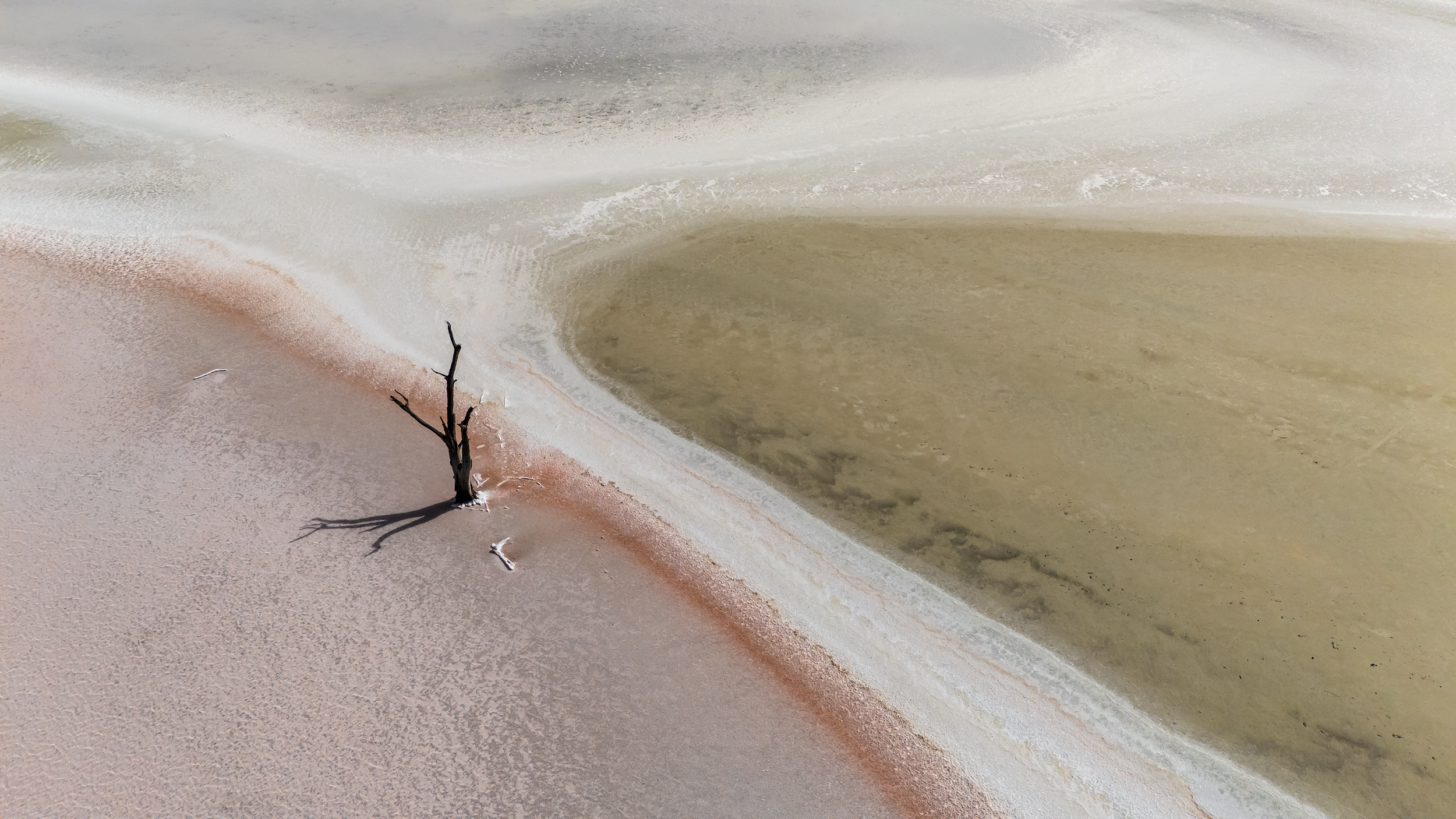 VLW Photography - DJI - SaltyTree 2025.png