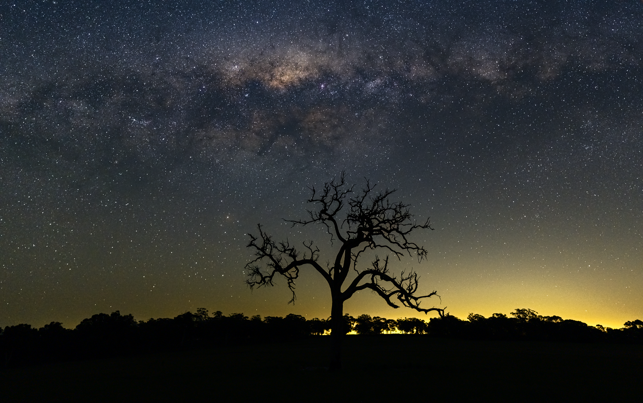 VLW Photography - Nikon - CityLight 2025.png