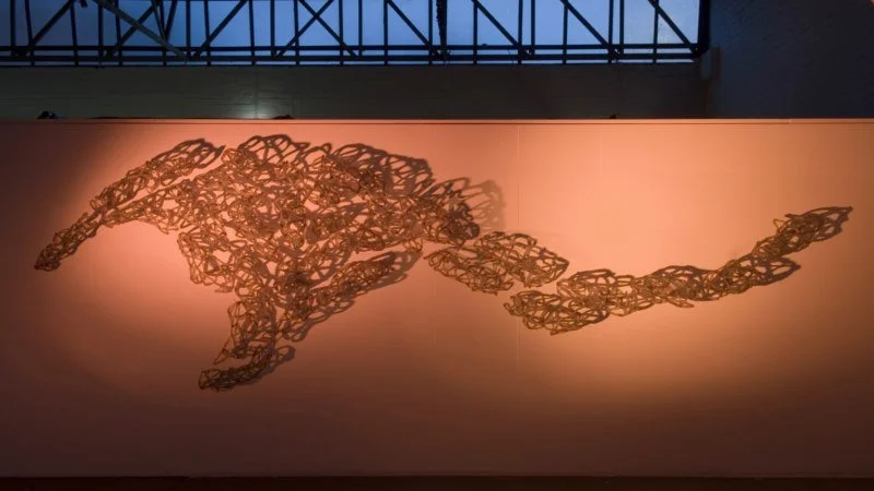 SynergeticInstallation-inAmber800x600.jpeg