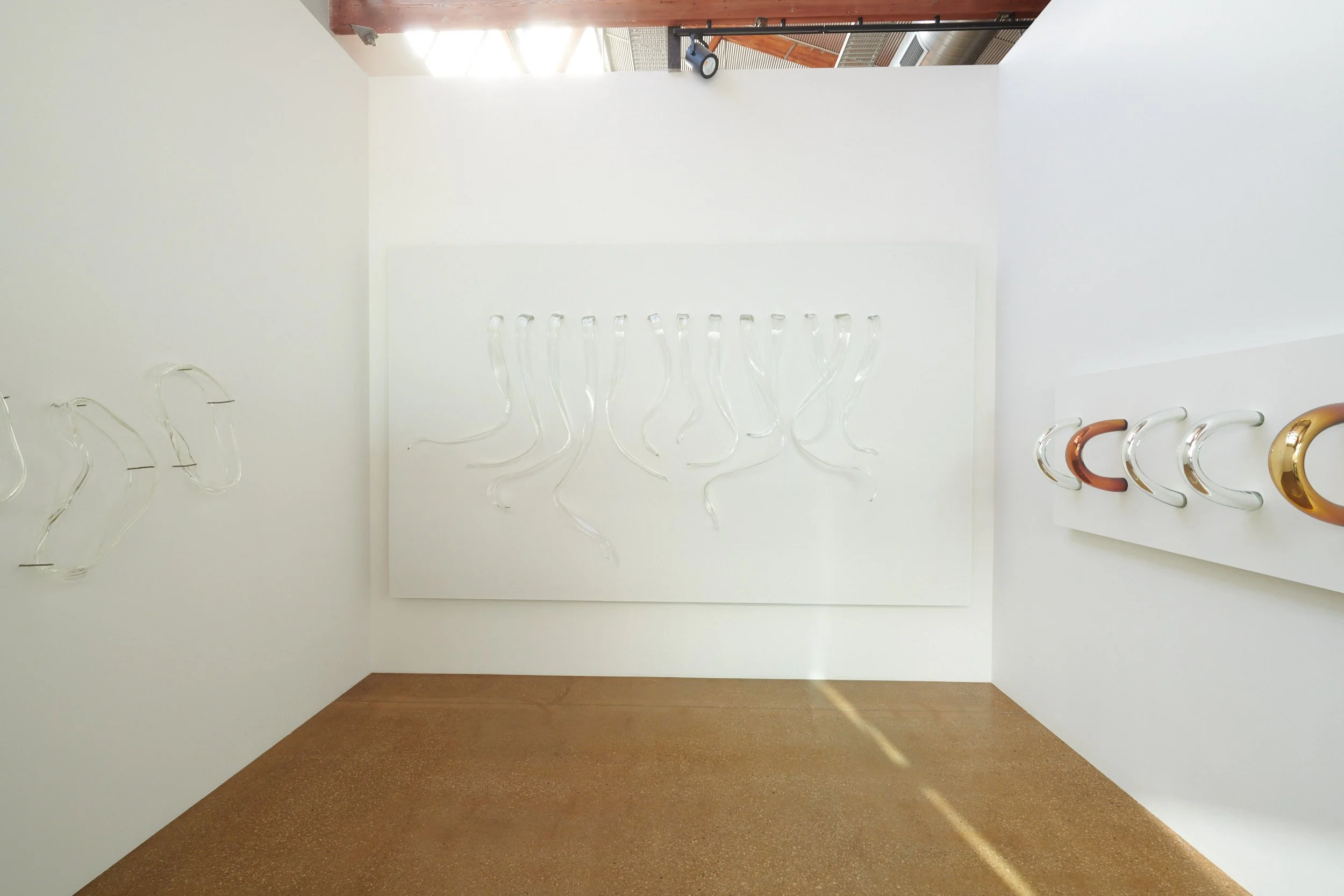 CGallery_RuthAllen_InvisibleForces_Insitu_1.jpg