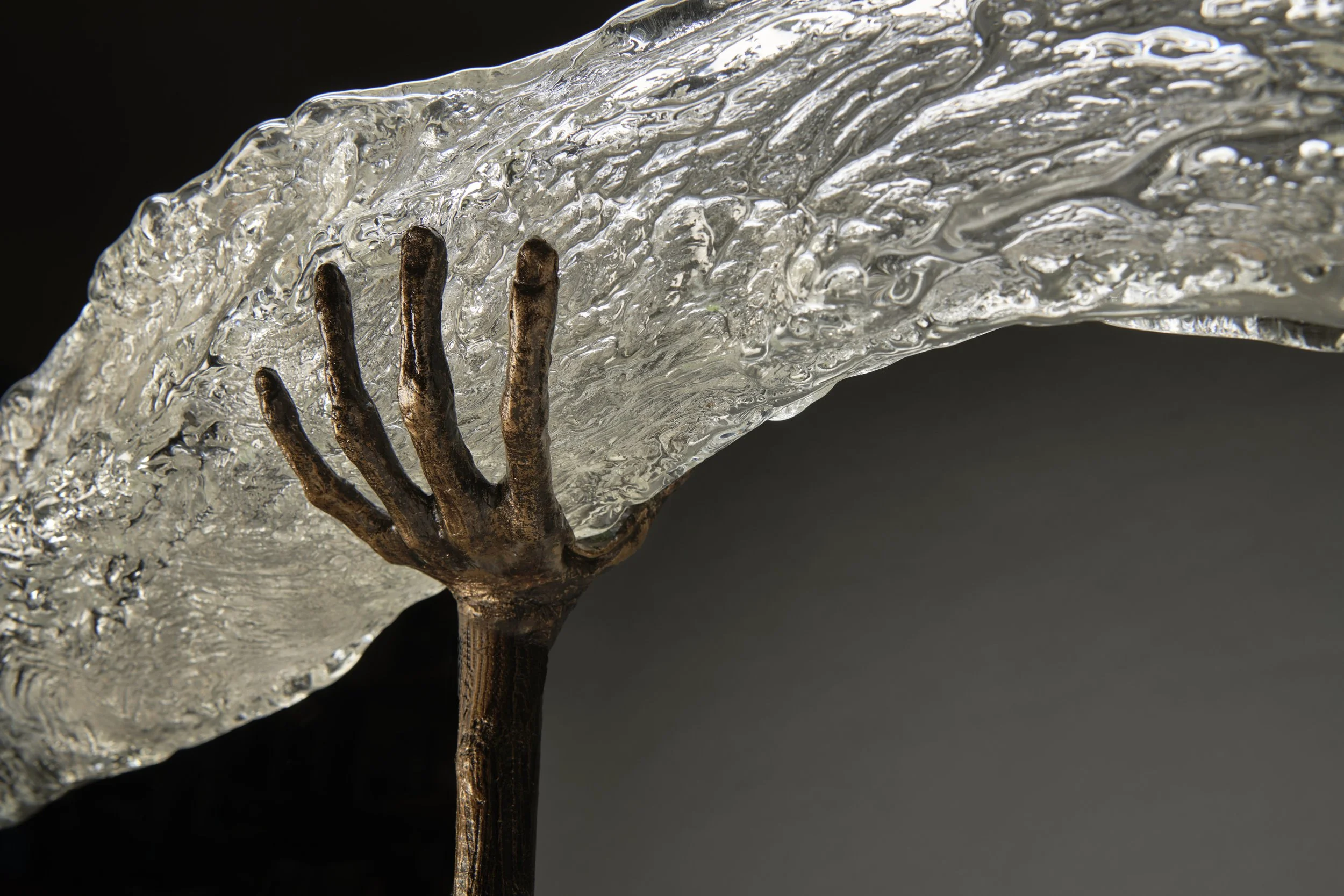 17122025_Allen_Fossil v2_06.jpg