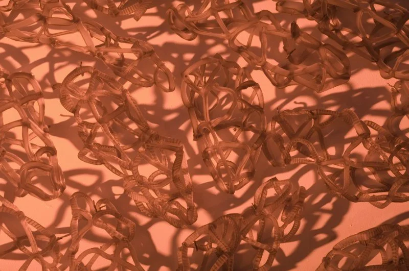 SynergeticWallInstallationinAmberDetail800x600.jpeg