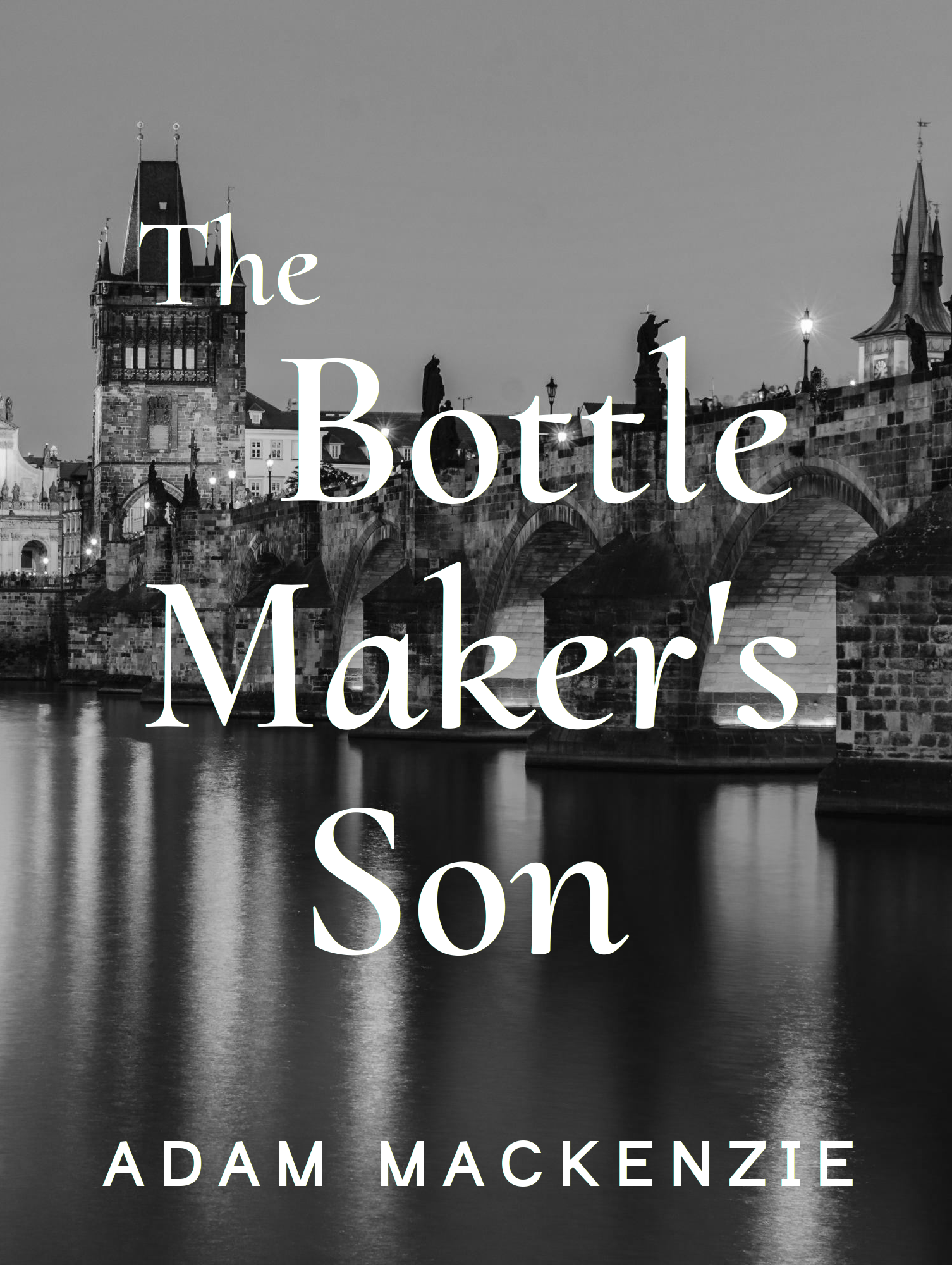 bookcover1.png