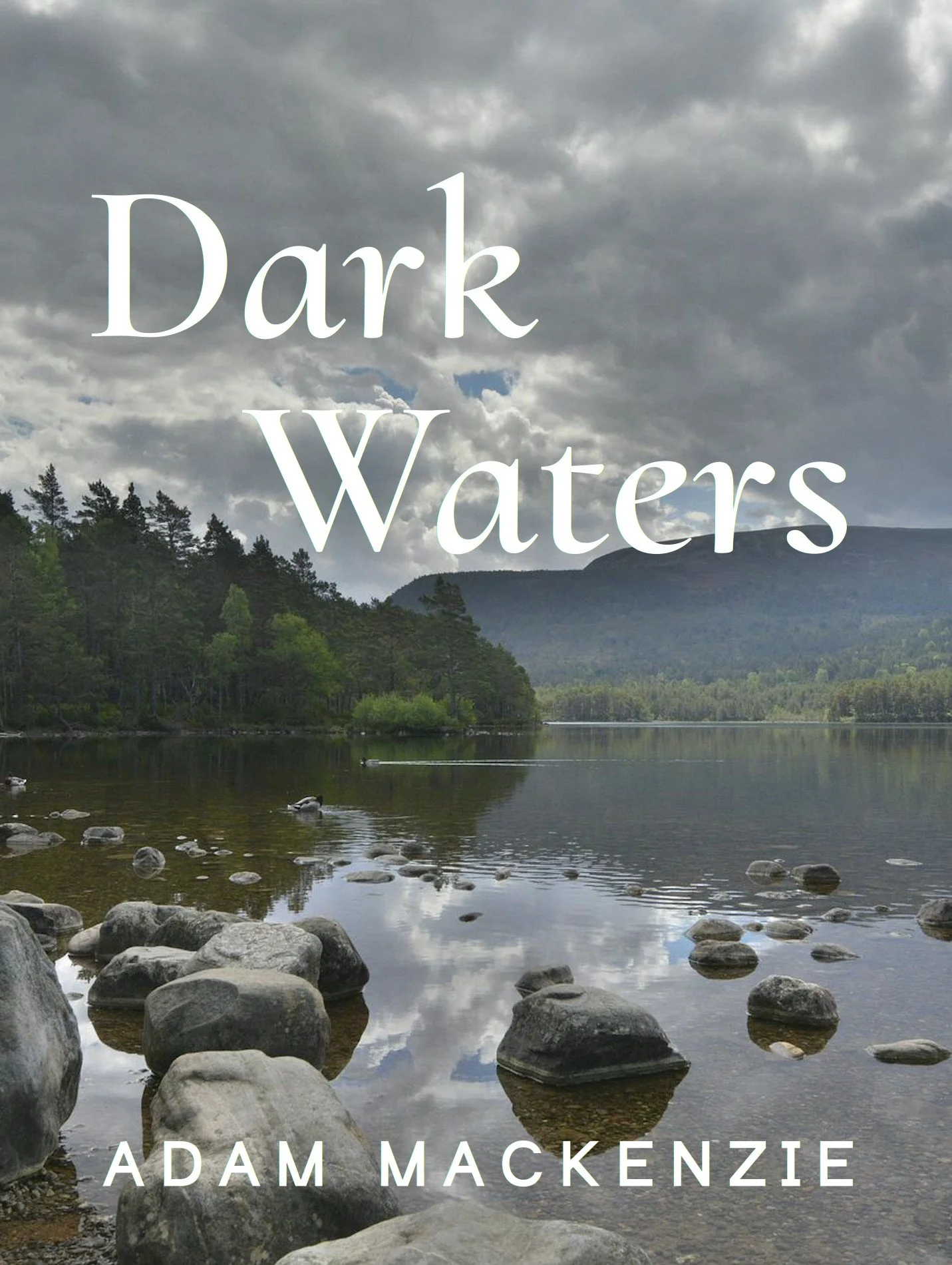 bookcover4.jpg