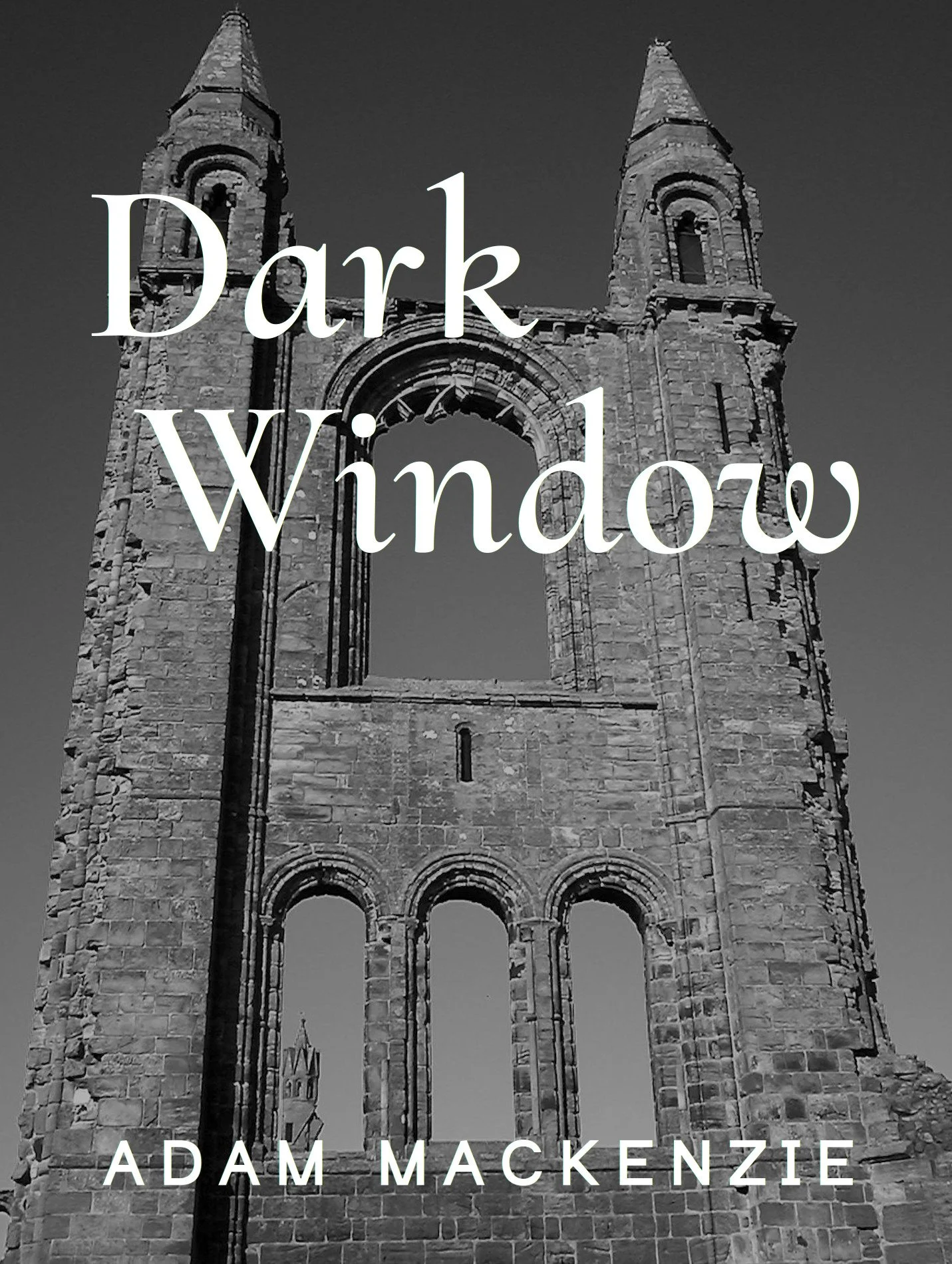 bookcover6.jpg