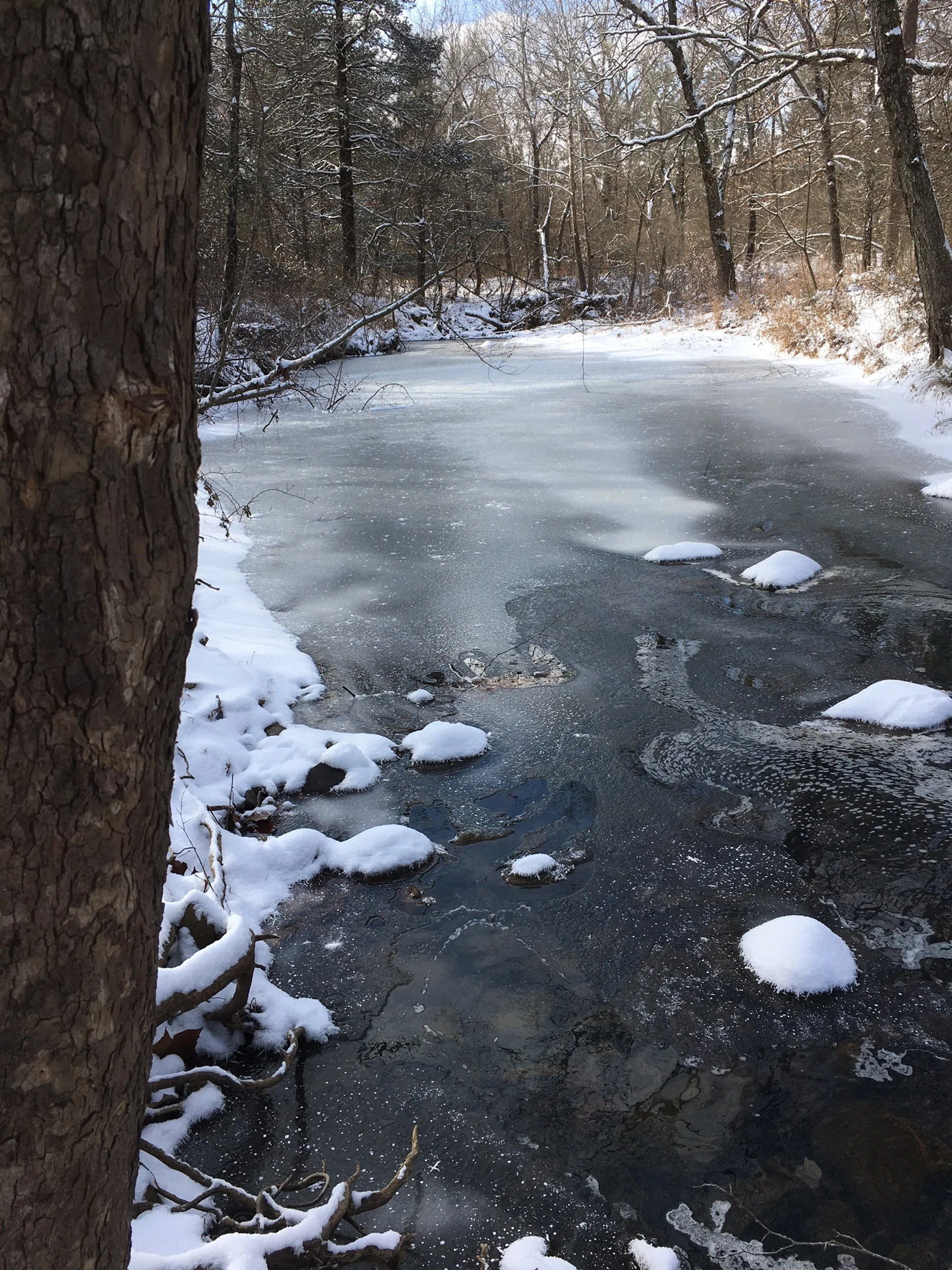 Frozen Creek2  1_15_24.JPG