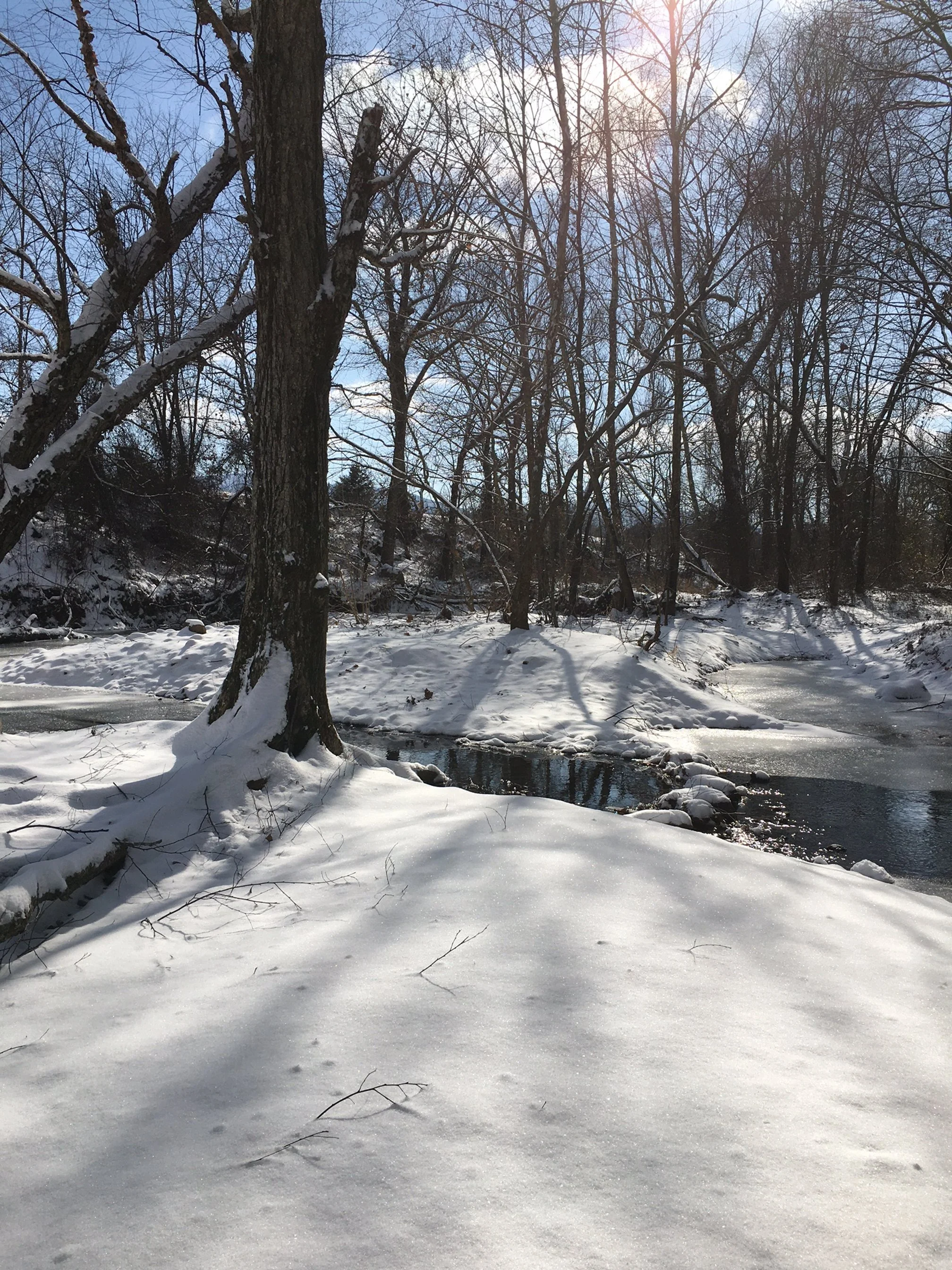 Frozen Creek4  1_15_24.JPG