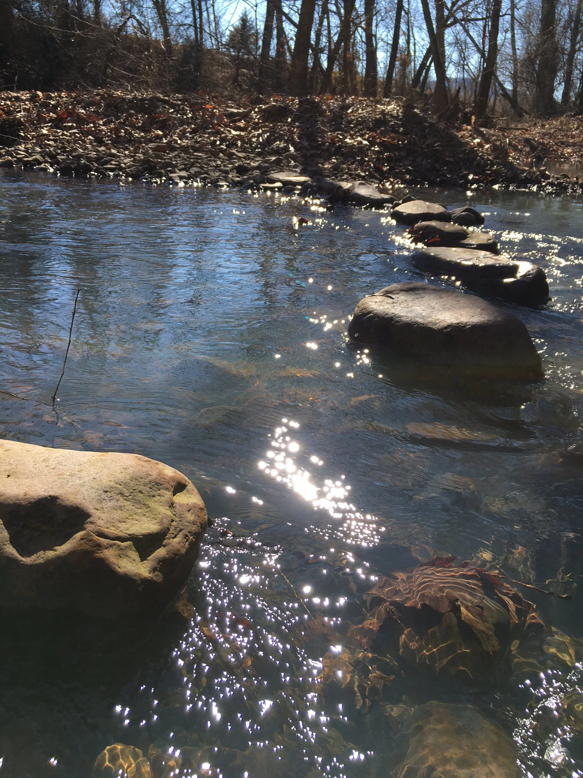 CreekBridgeCloseup_1_30_24.JPG