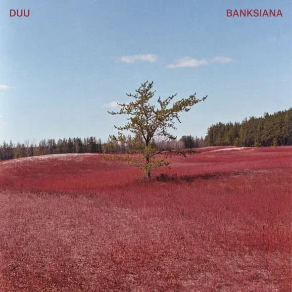 Lancement Album : Strobus / Banksiana - Duu