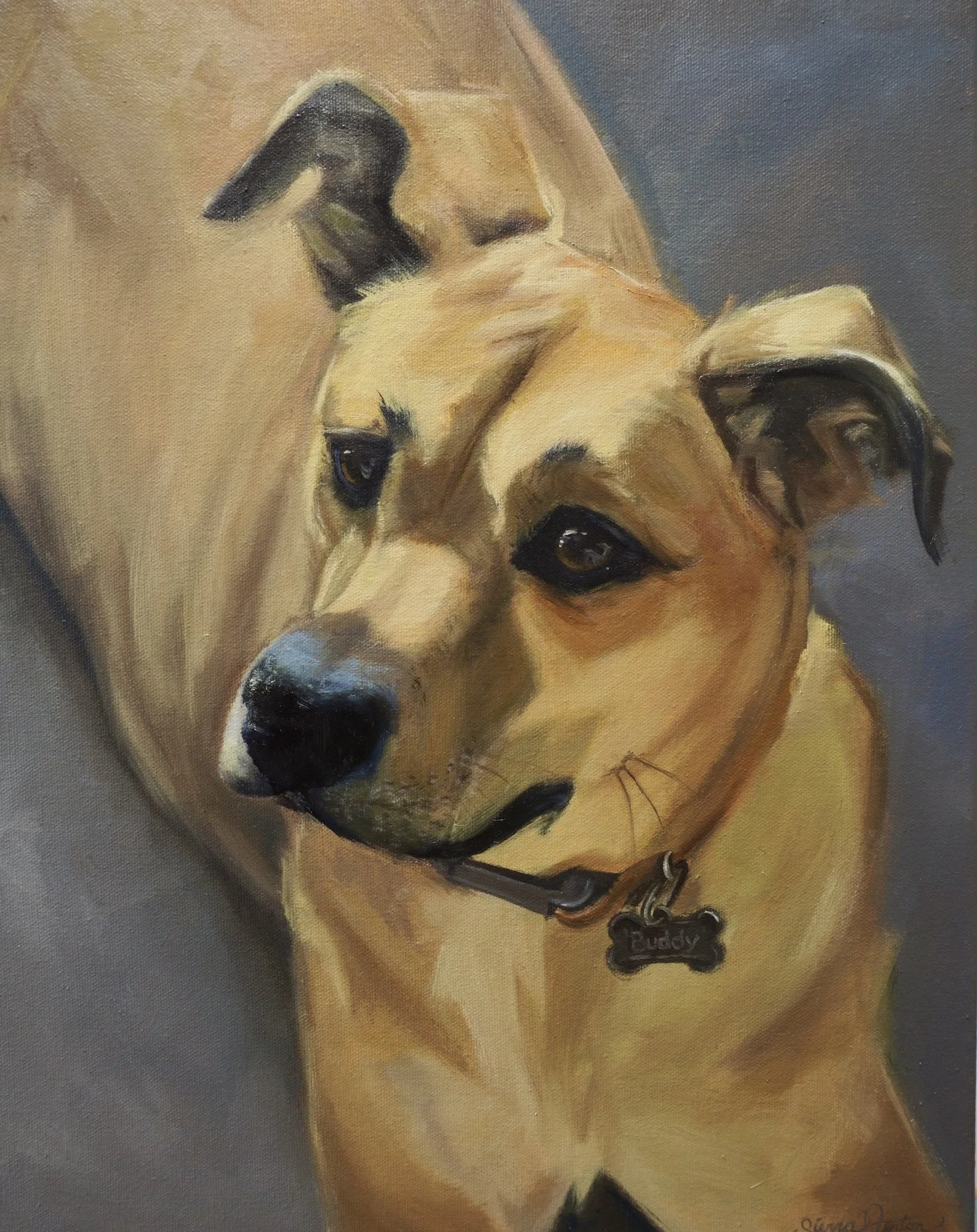 fenton-buddy-dog-portrait-oil-painting.JPG