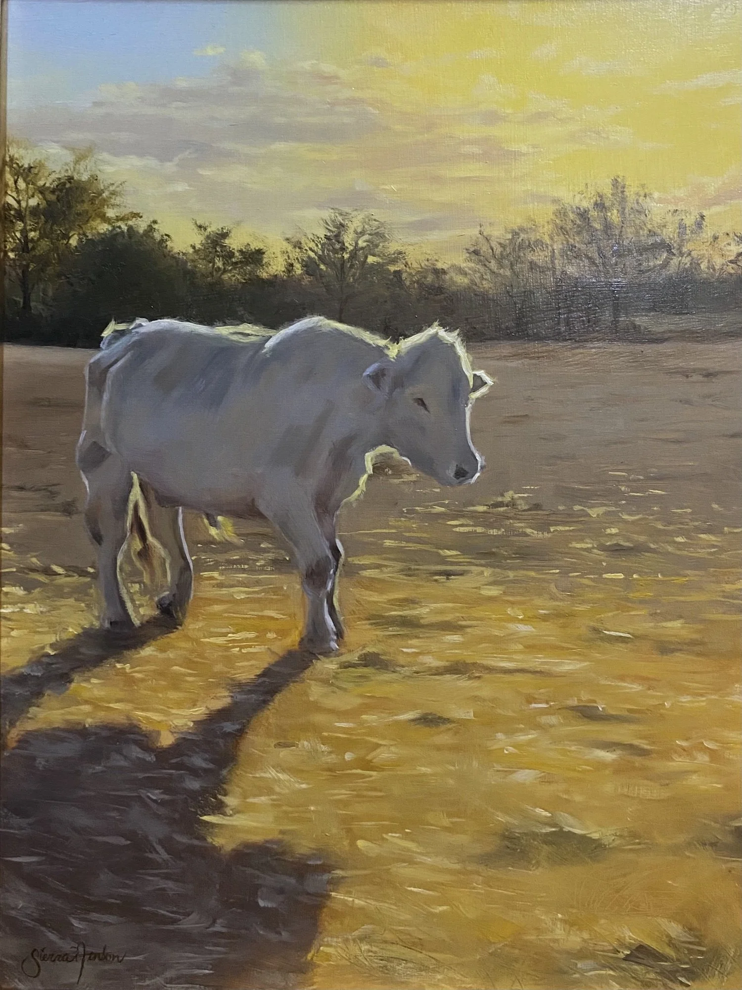 fenton-morning-glowing-backlit-cow-oil-painting.jpg