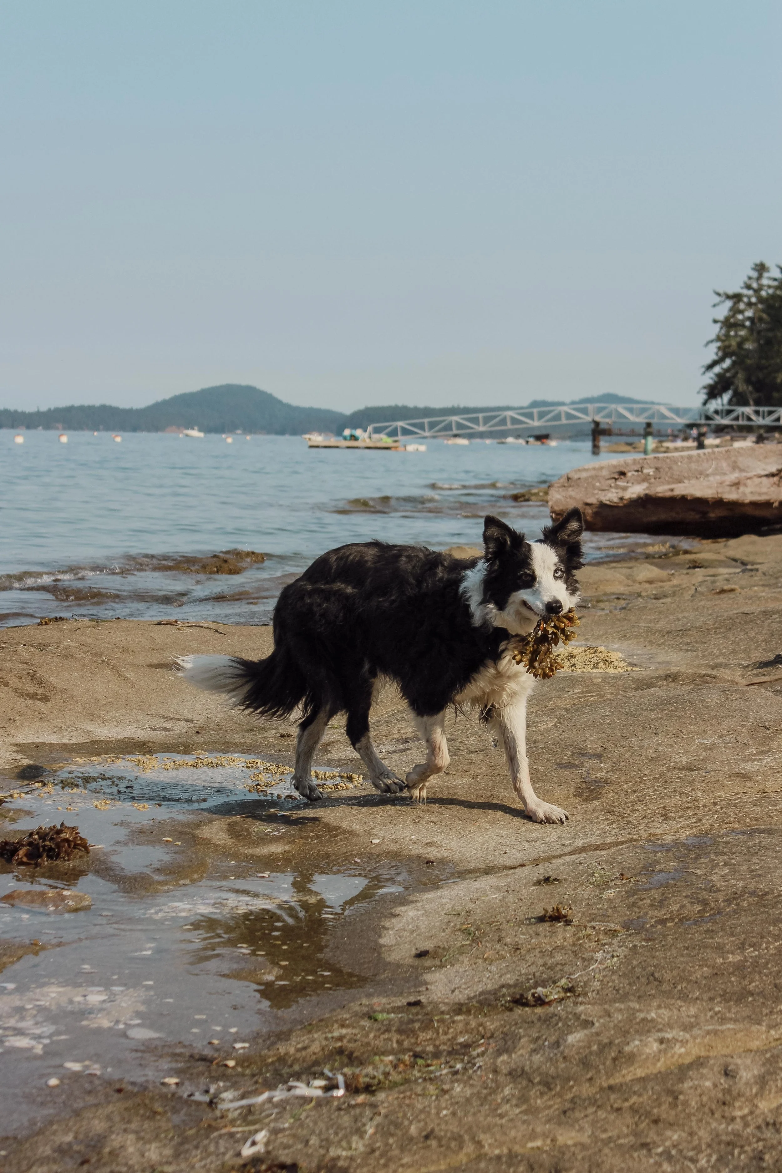ocean-pacific-family-friends-cabin-seaside-coast-18.jpg