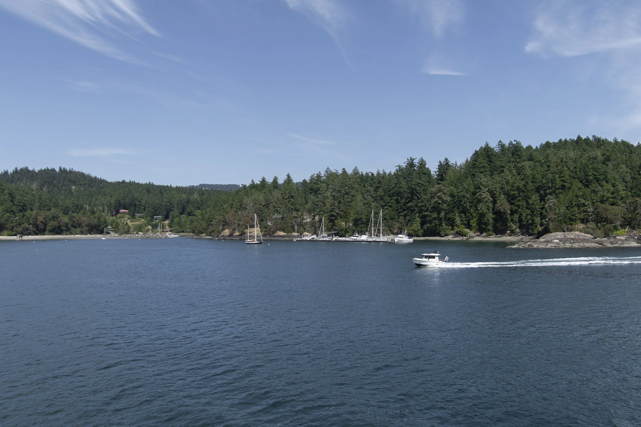 251026-OA-BLOG-Orcas-Island-16.jpg