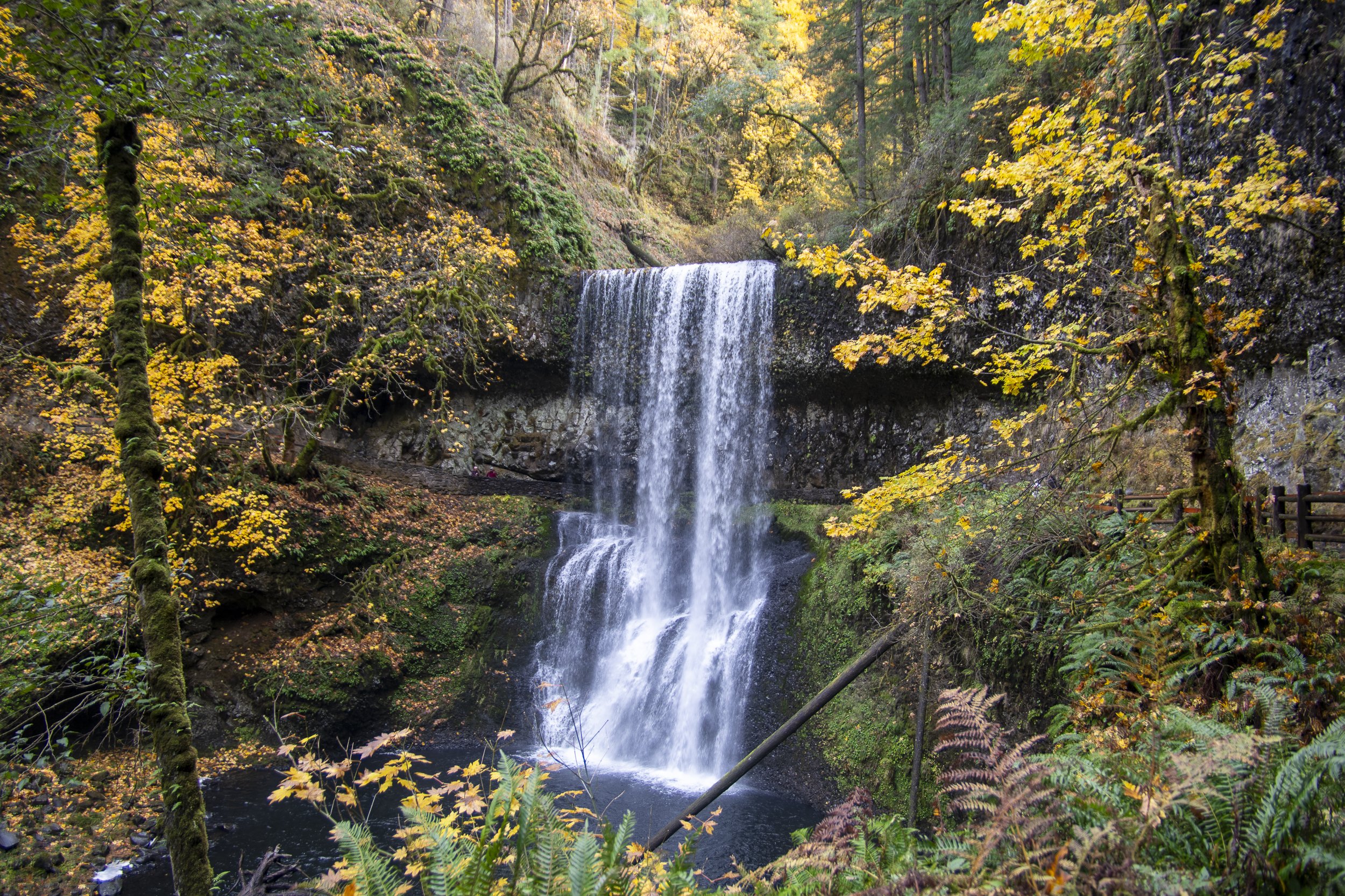 251230-OA-BLOG-Silver-Falls-06.jpg
