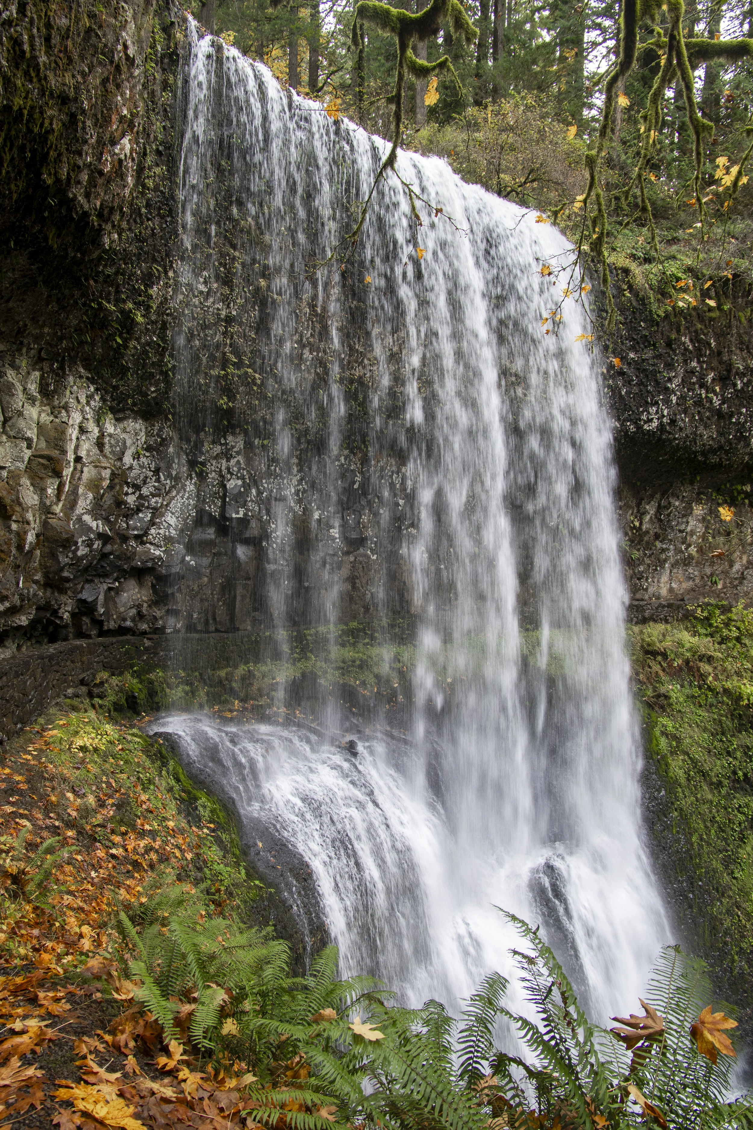 251230-OA-BLOG-Silver-Falls-10.jpg