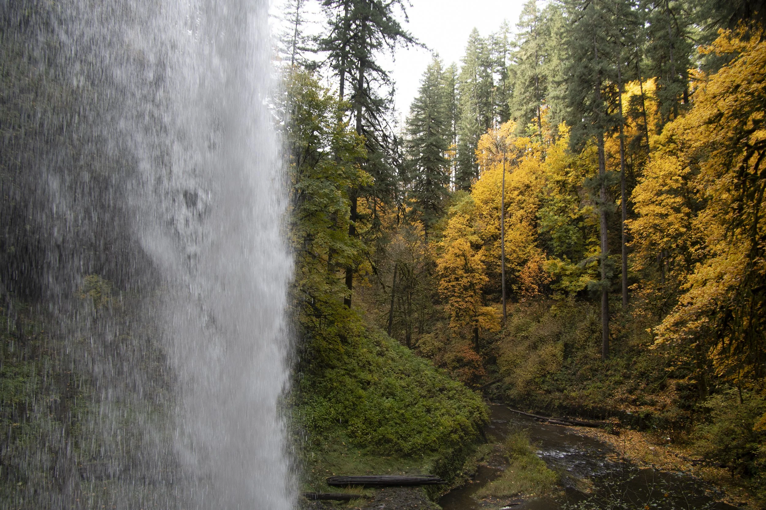 251230-OA-BLOG-Silver-Falls-15.jpg