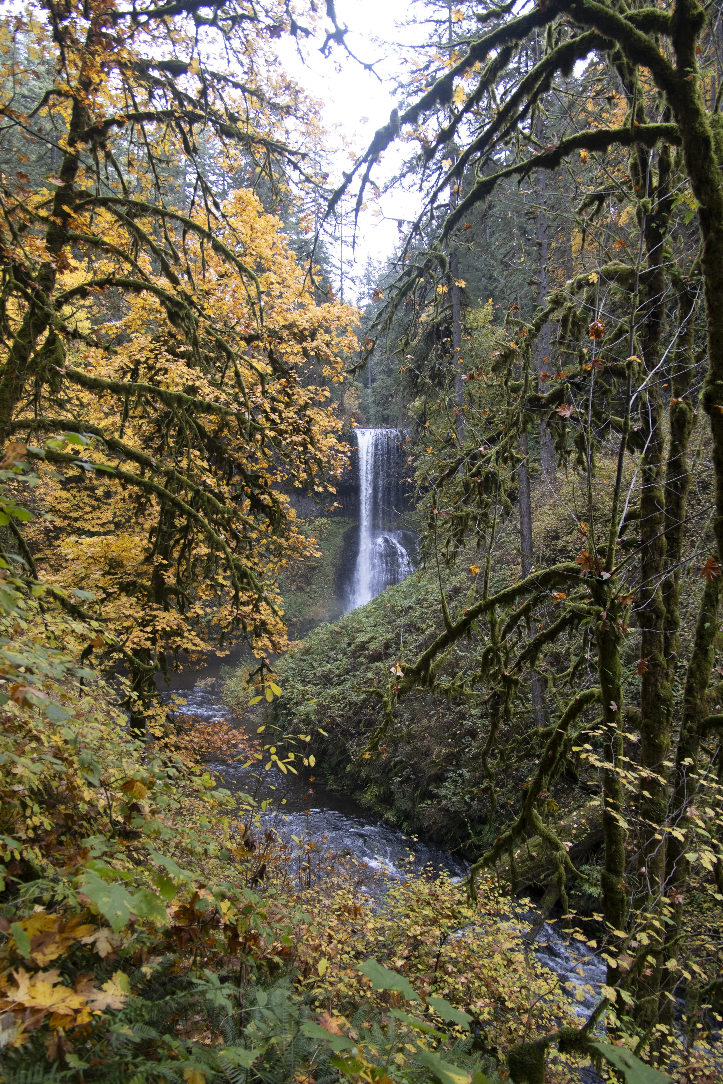 251230-OA-BLOG-Silver-Falls-14.jpg