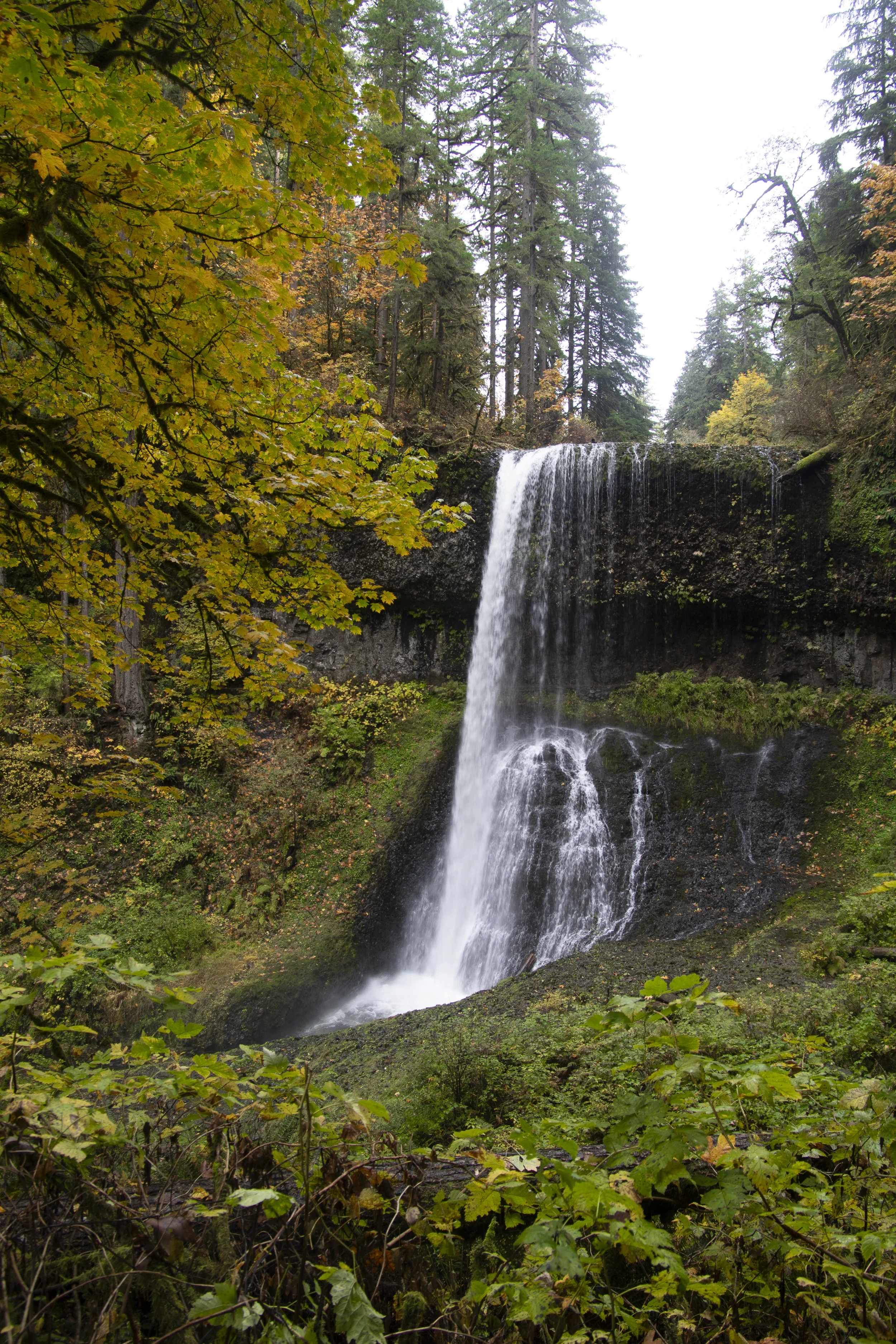 251230-OA-BLOG-Silver-Falls-16.jpg