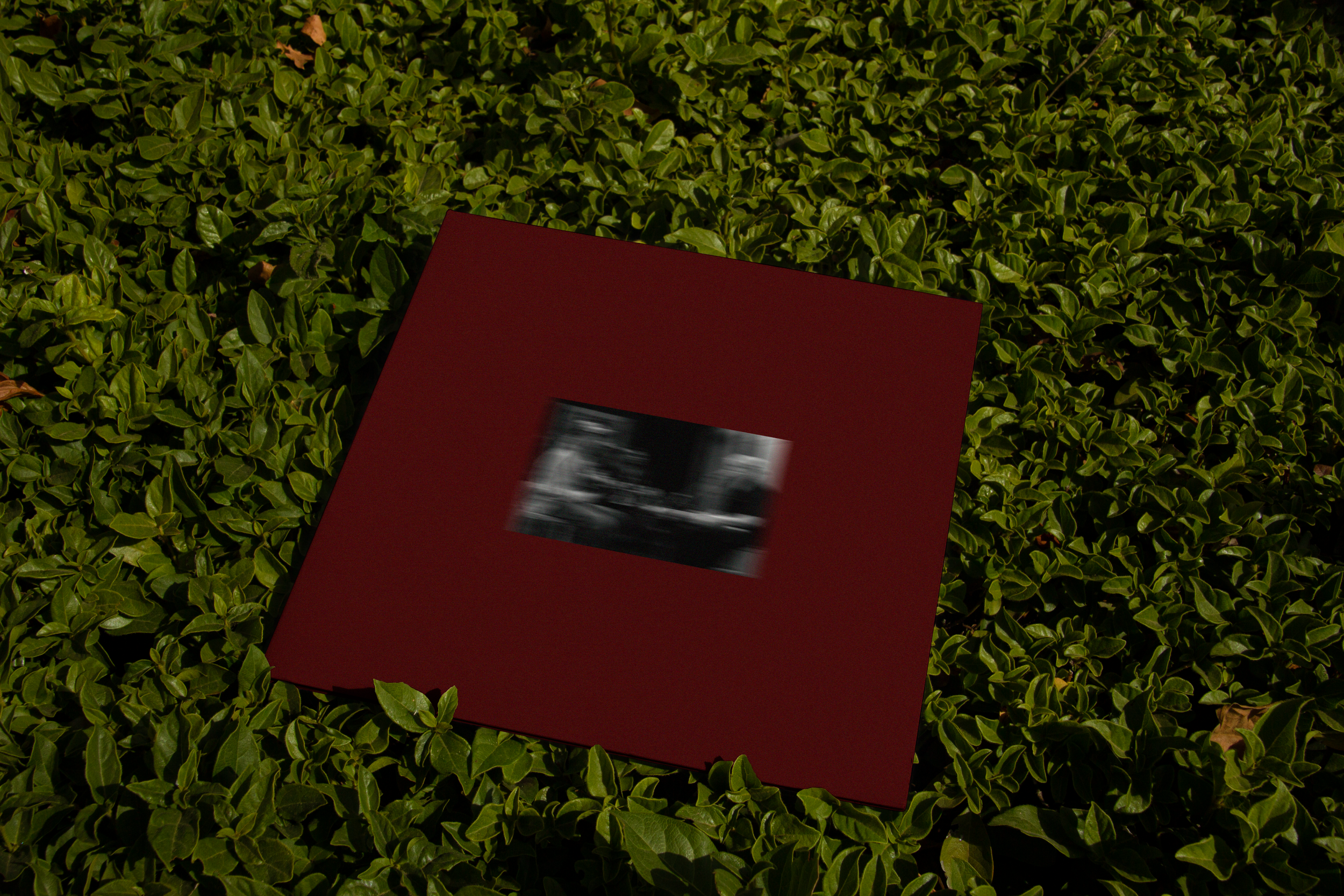 Buttgrass-noword cmp.png