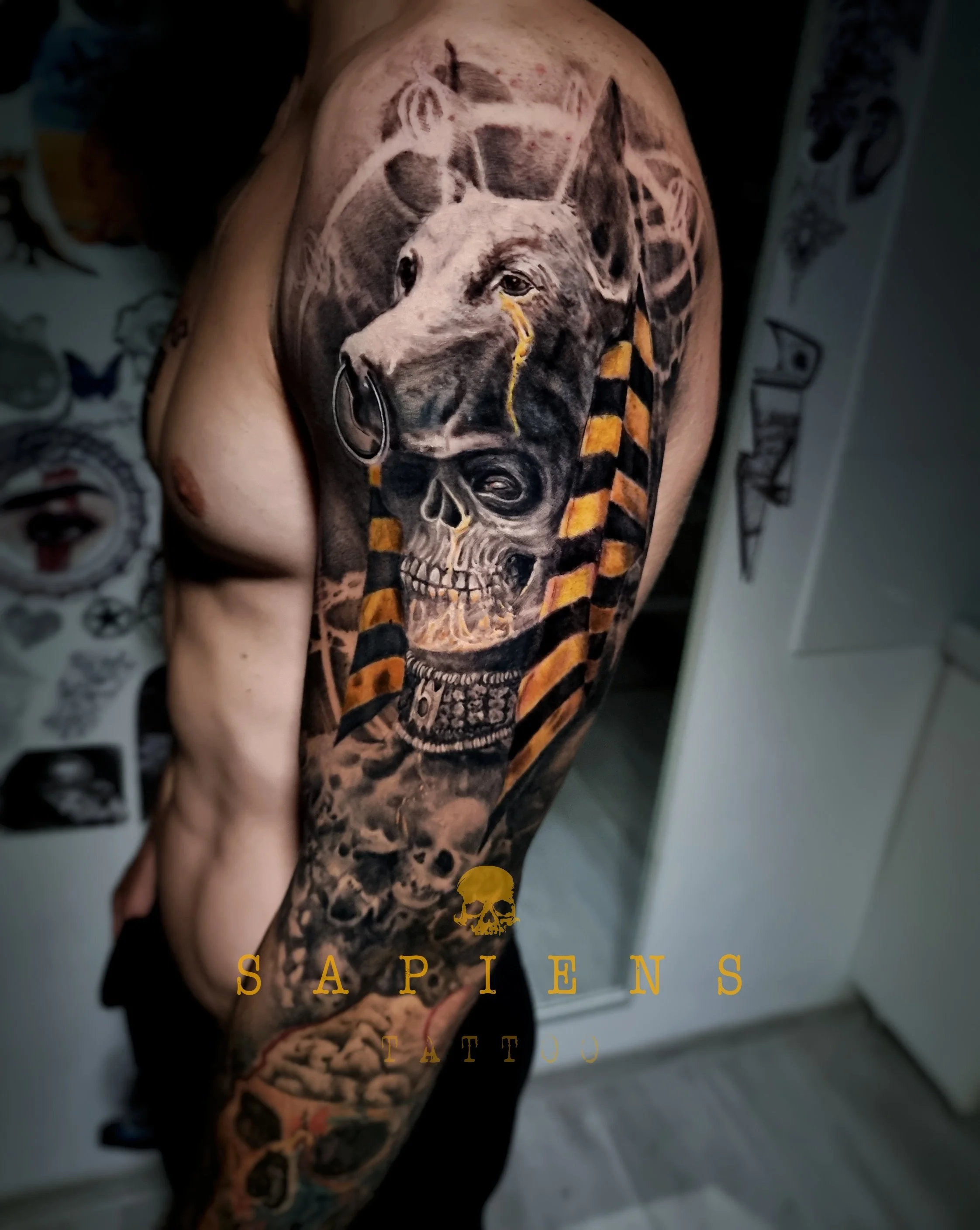tatuaj full sleeve personalizat cu anubius