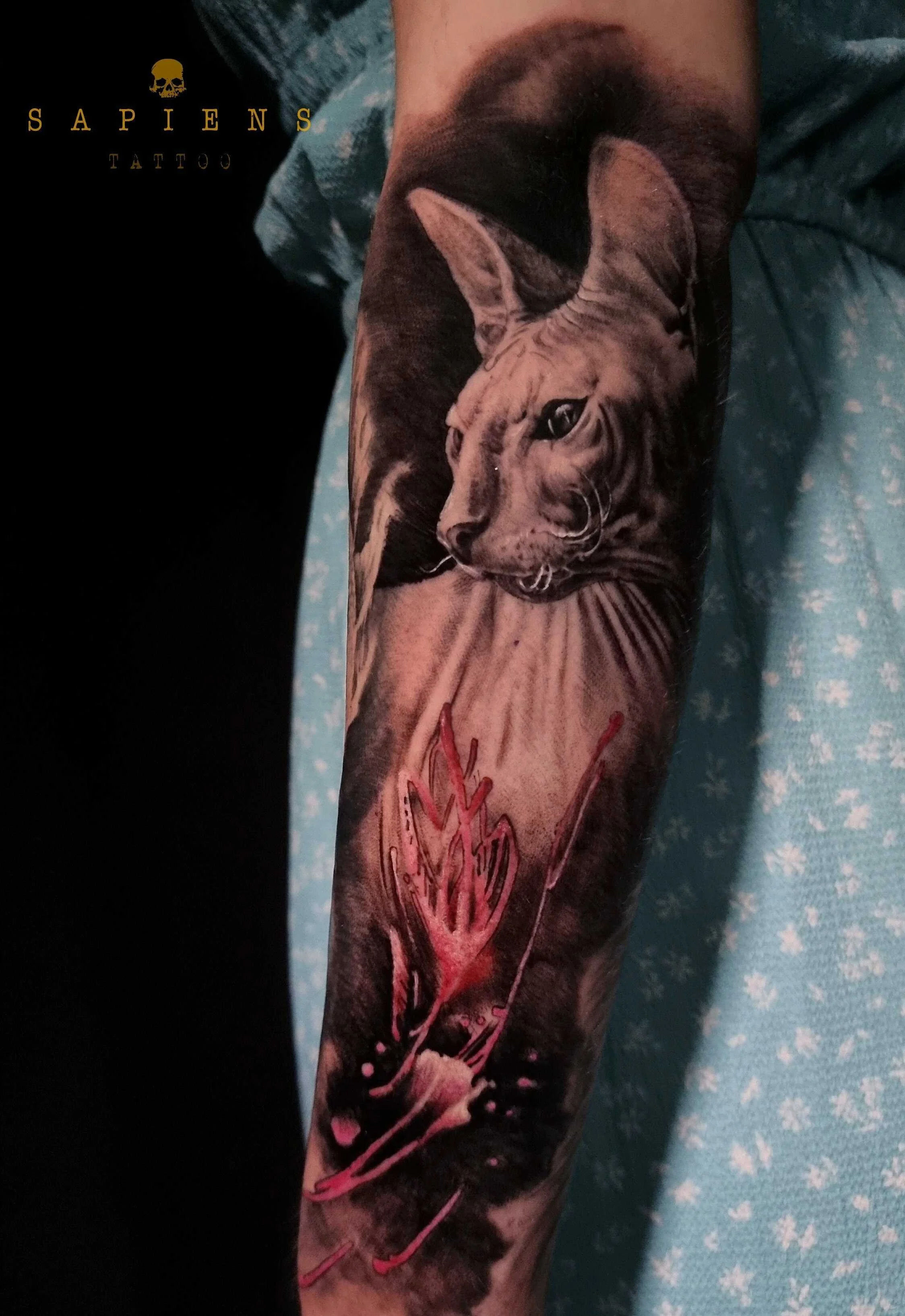 tatuaj cu pisica sfinx pe antebrat