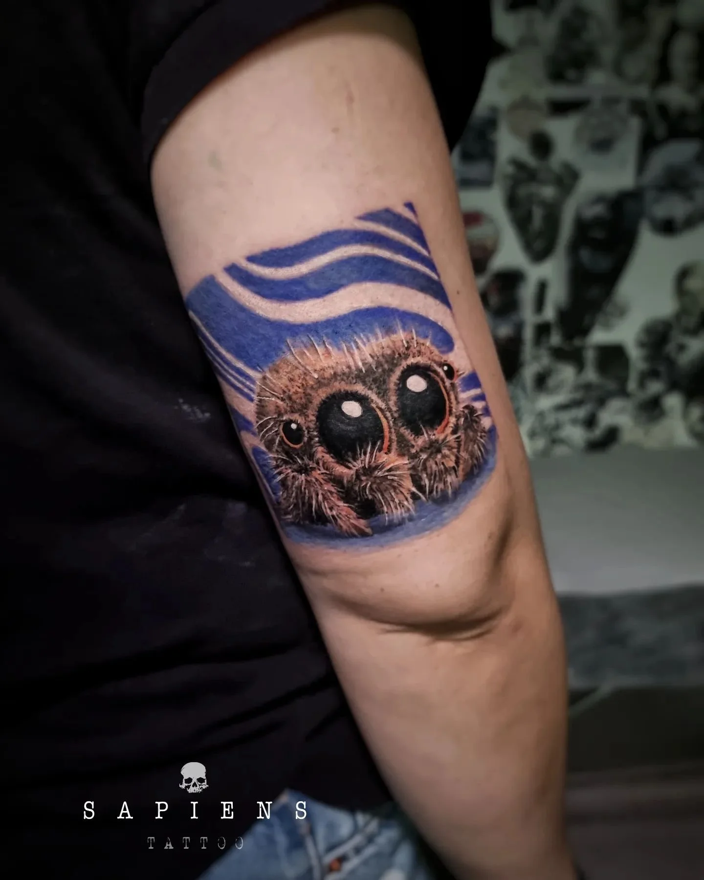 tatuaj cu un paianjen color realizat in stil realist pe triceps pentru o femeie