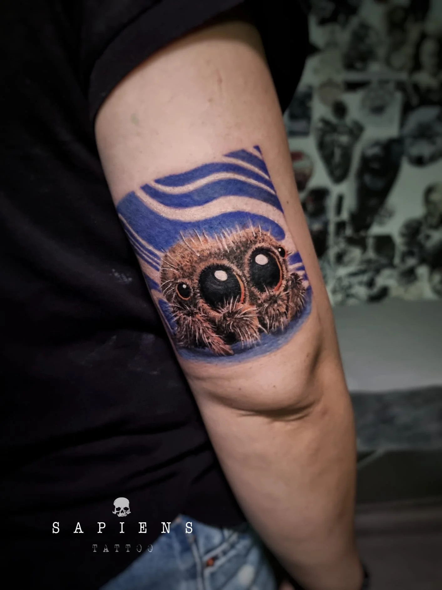 tatuaj cu un paianjen mic color si amuzant in stil realistic si fundal mov albastrui