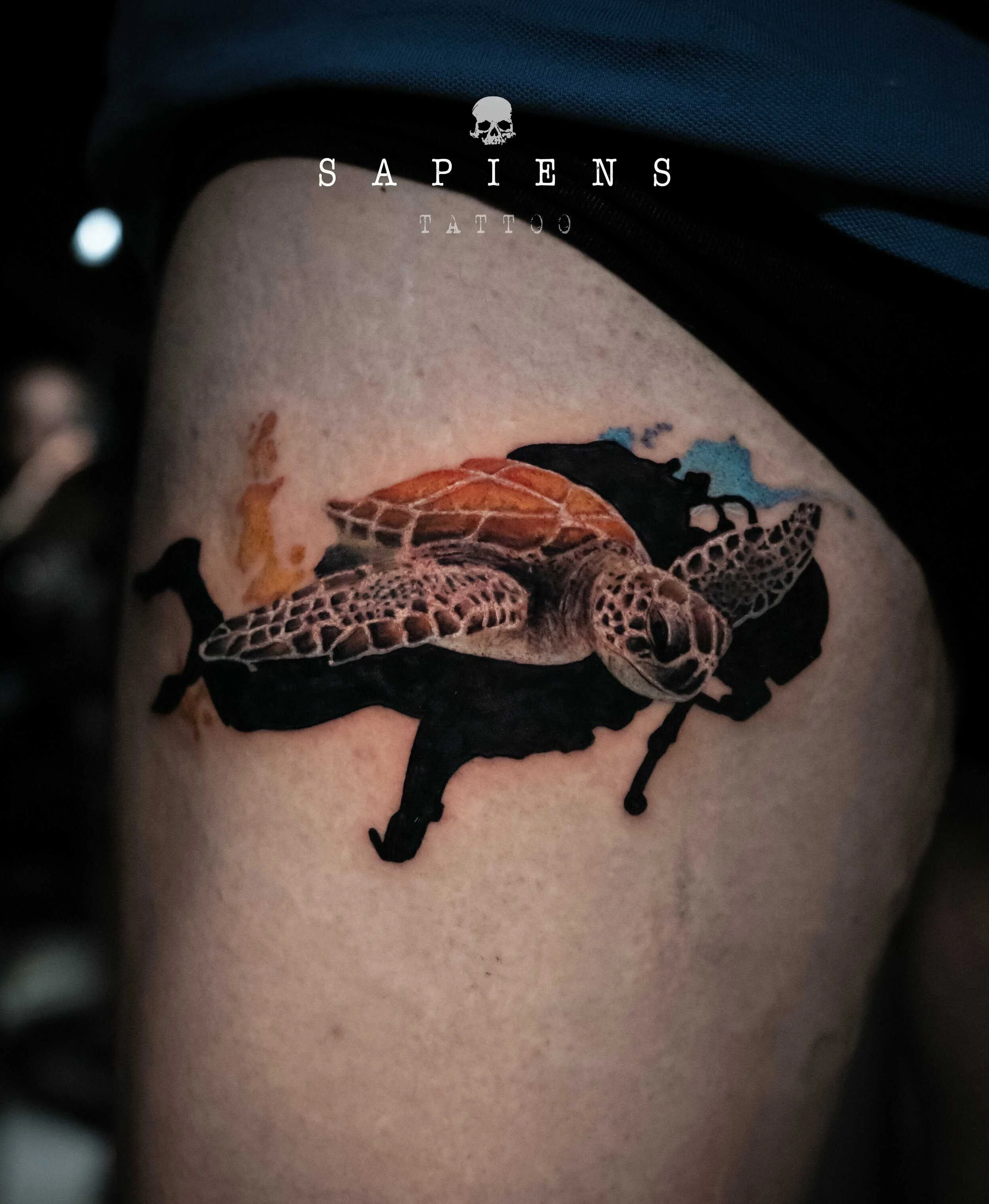 tatuaj cu tus negru si color pe picior cu o broasca testoasa