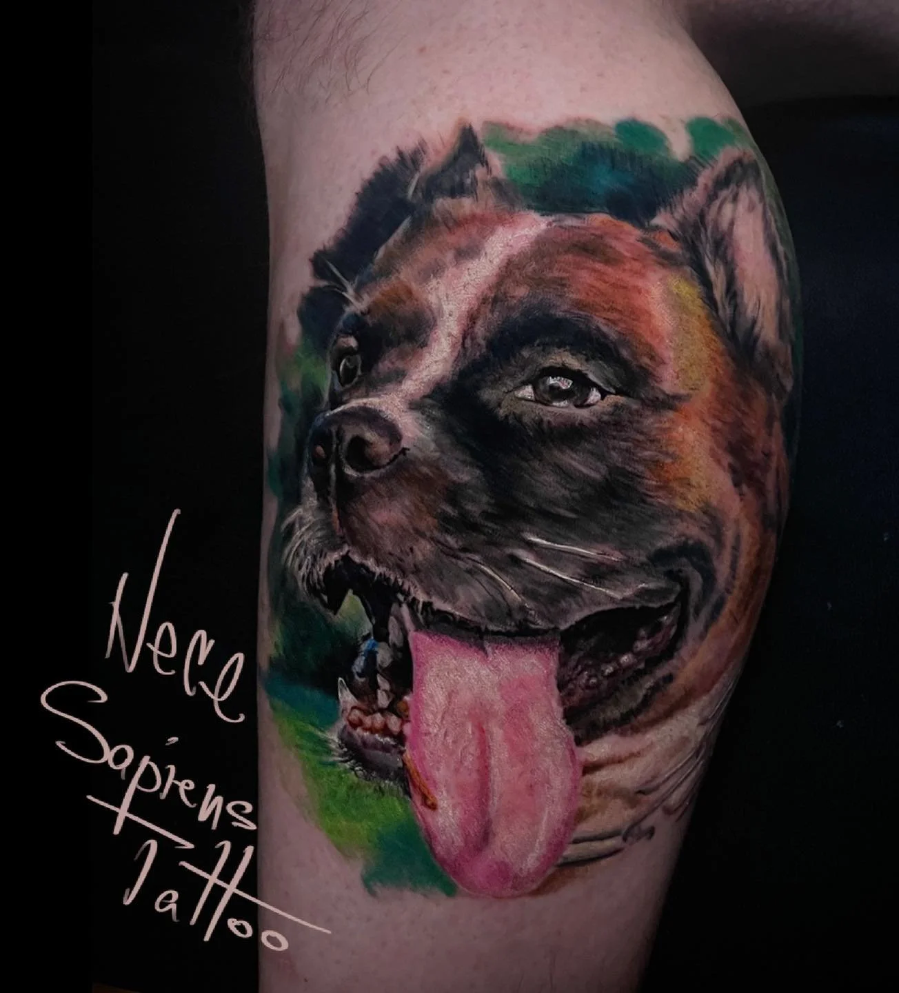 portret de caine color tatuat pe gamba
