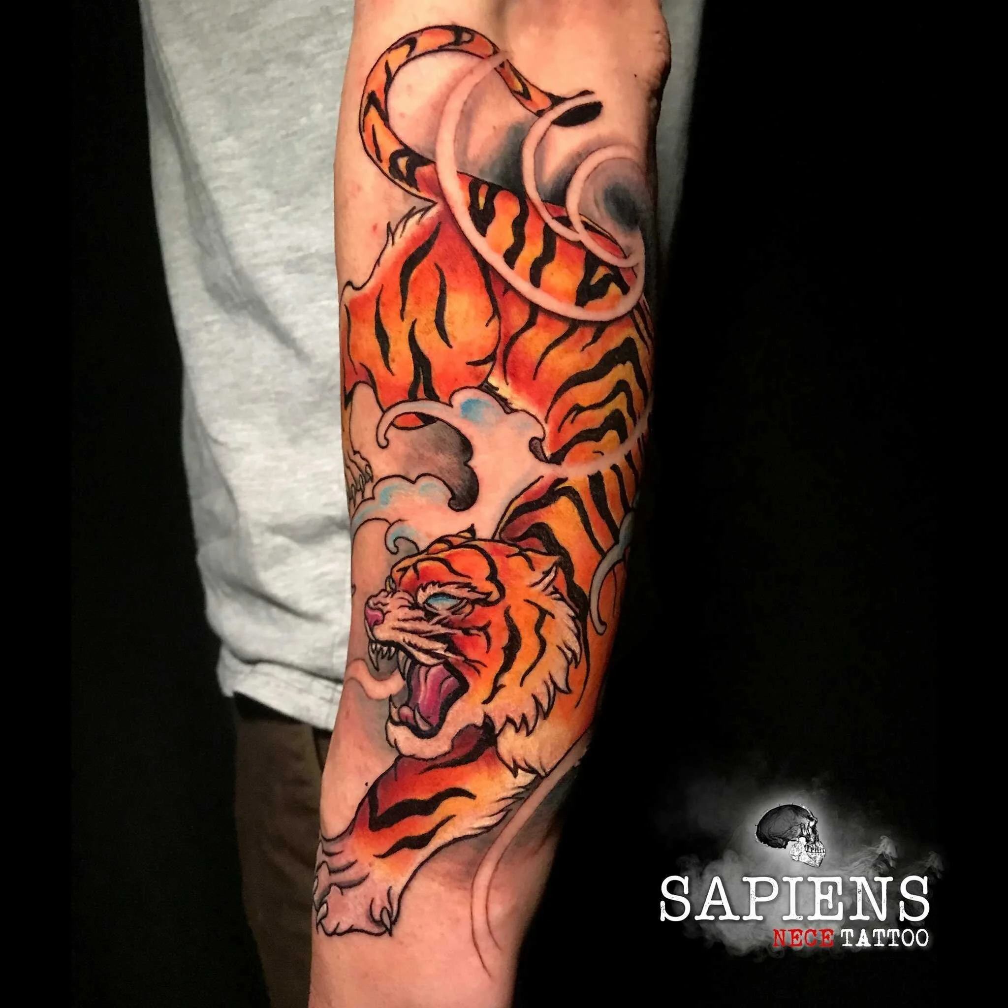 tatuaj in stil japonez pe brat cu tigru color realizat in stil neotraditional