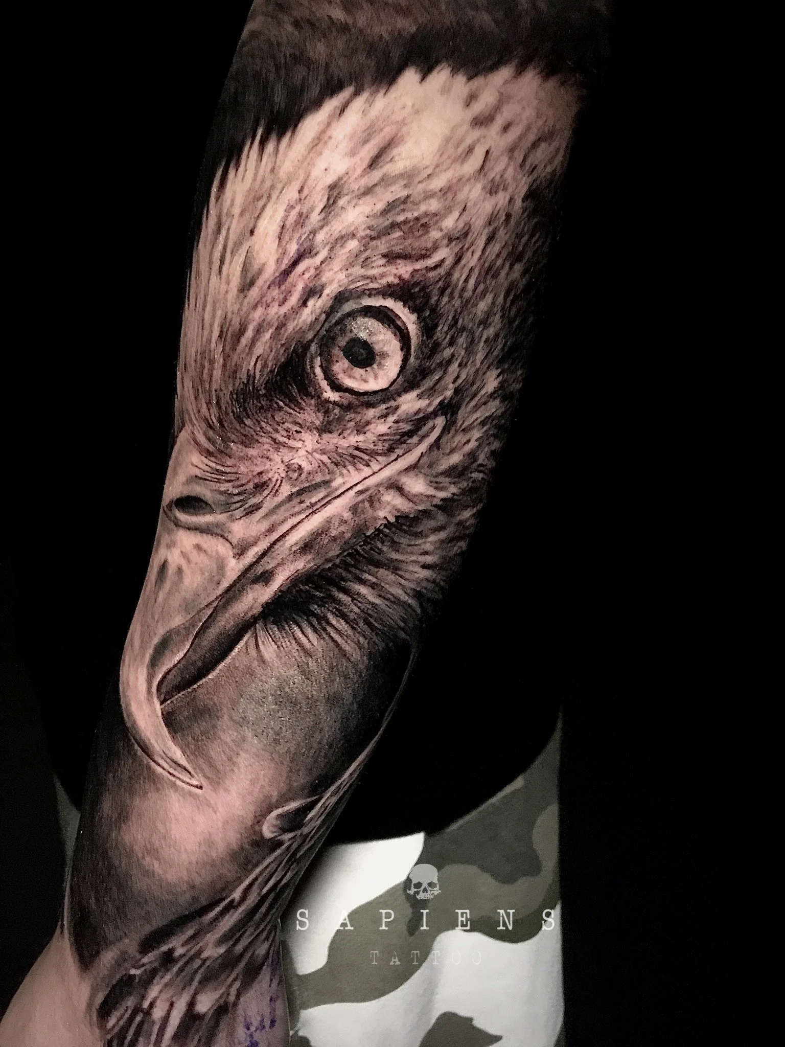 tatuaj cu vultur in stil black and gray