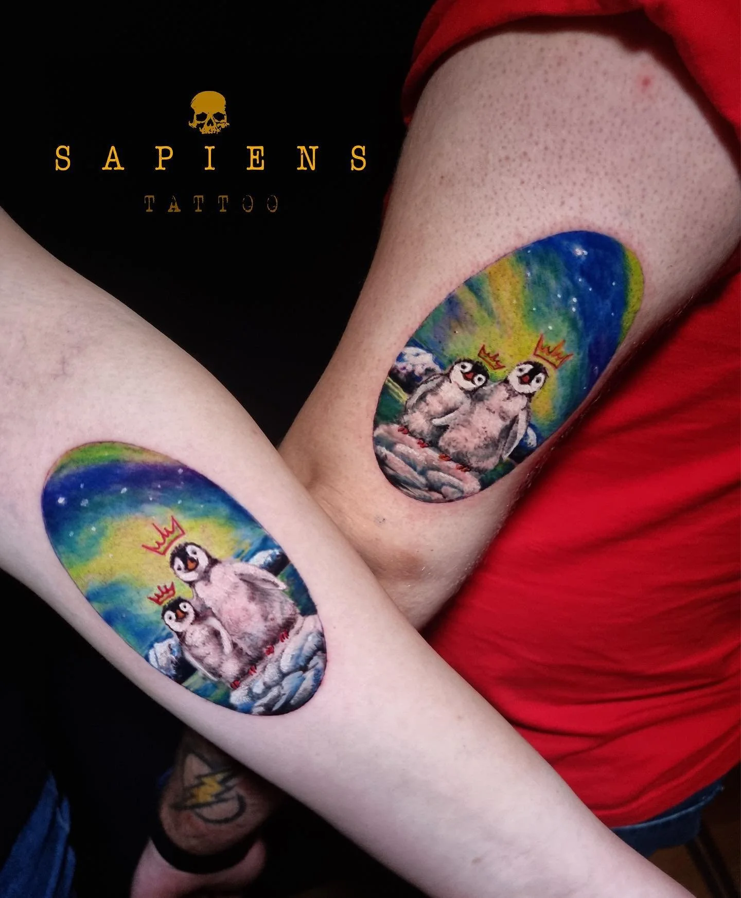 tatuaj color pe tricpes cu pinguinul apolodor realizat color la sapiens tattoo bucuresti