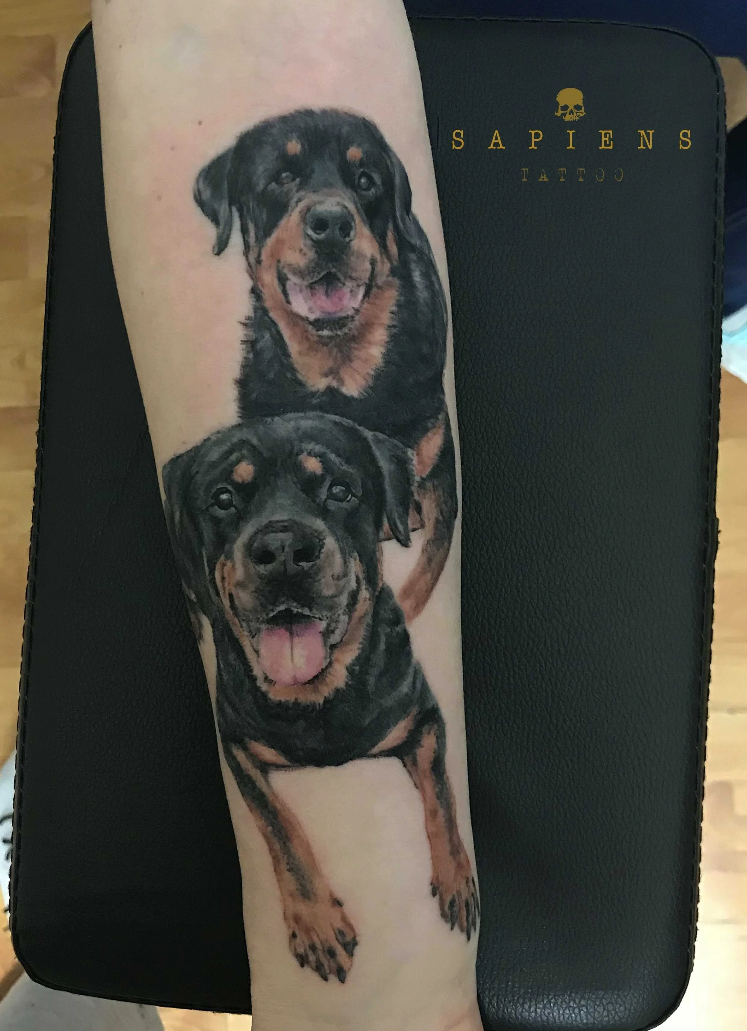 tatuaj color cu portretul cainelui