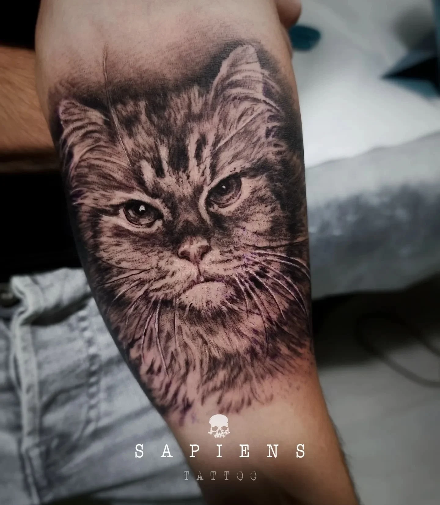 tatuaj portret cu pisica