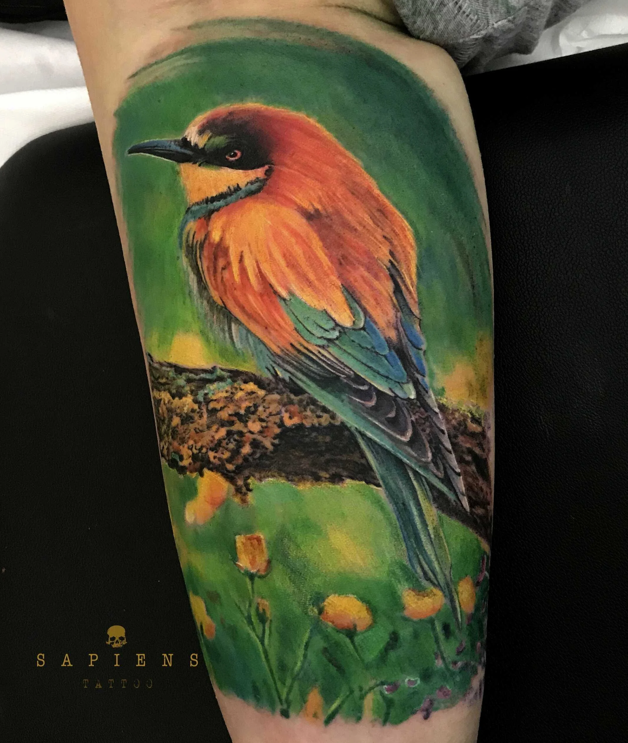 tatuaj color pe biceps interior cu o pasare si natura