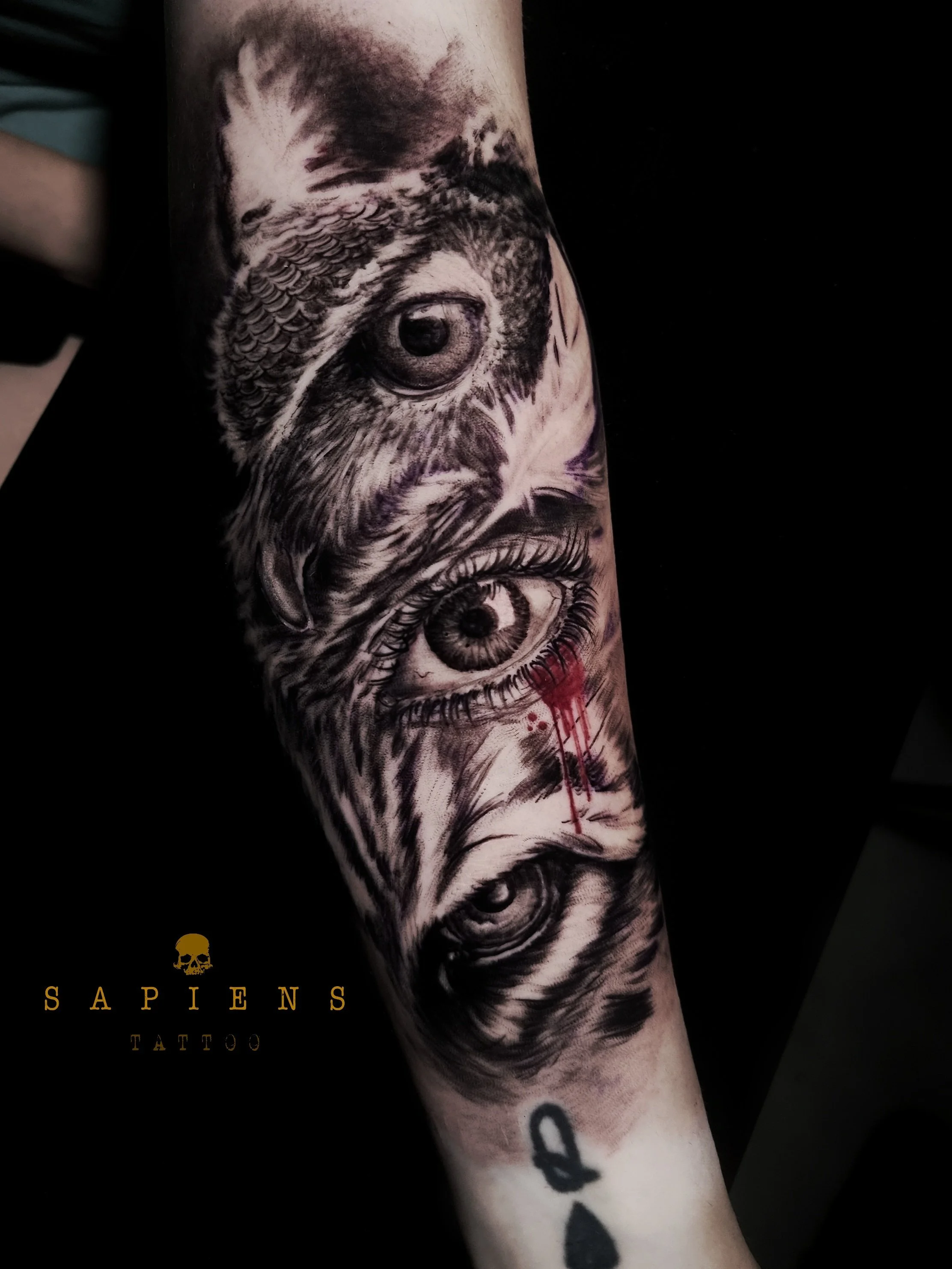 design pentru tatuaj cu ochi de animale