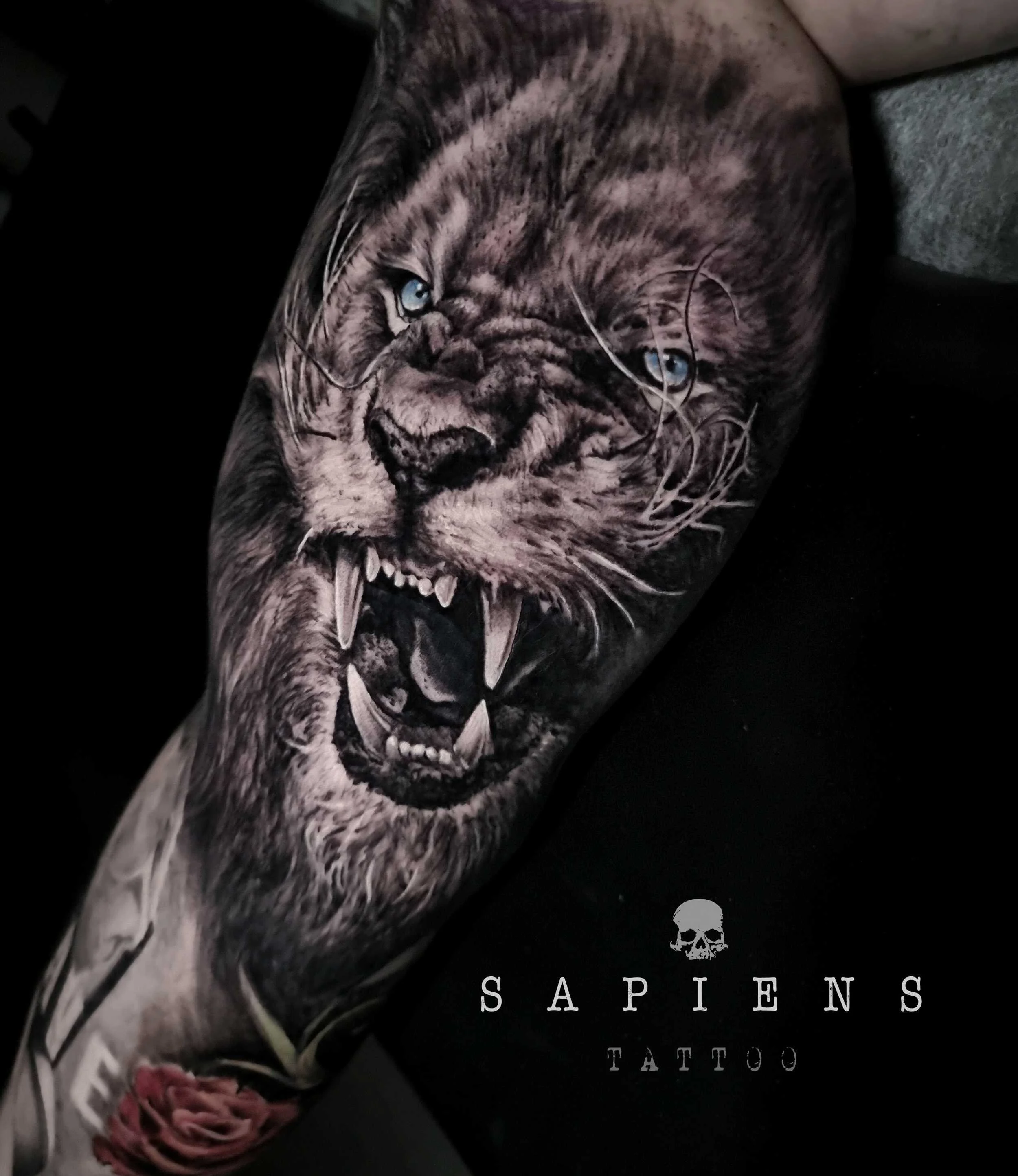 modele de tatuaje cu cap de leu pentru baieti